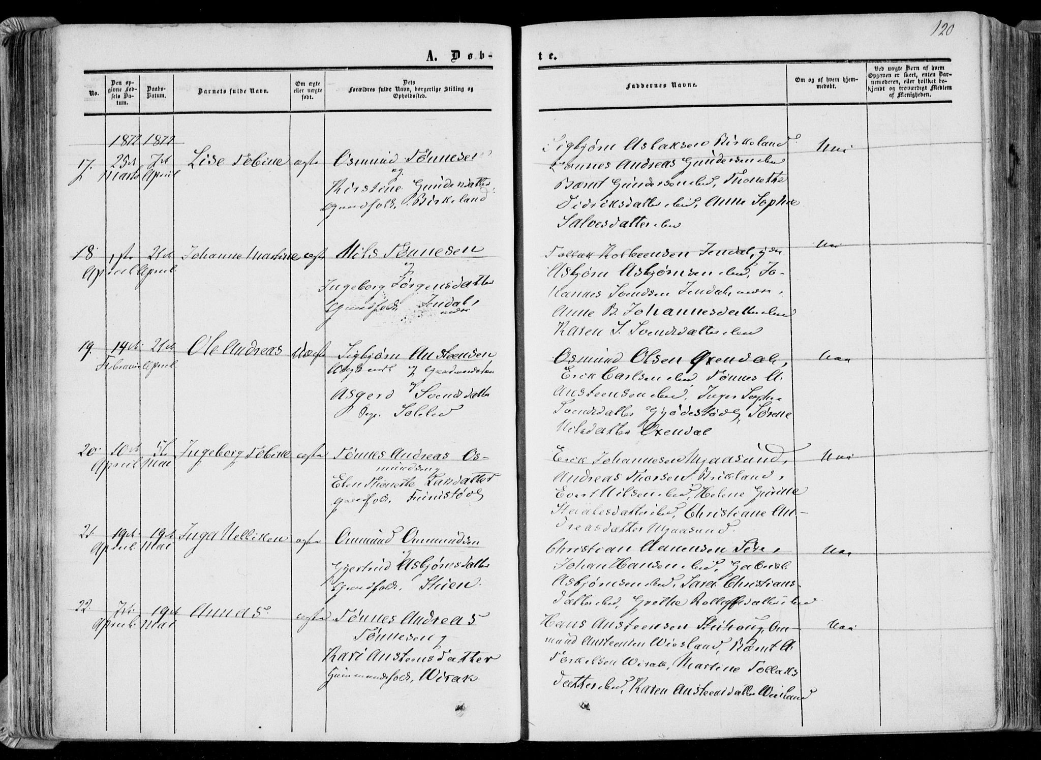 Bakke sokneprestkontor, AV/SAK-1111-0002/F/Fa/Faa/L0006: Parish register (official) no. A 6, 1855-1877, p. 120