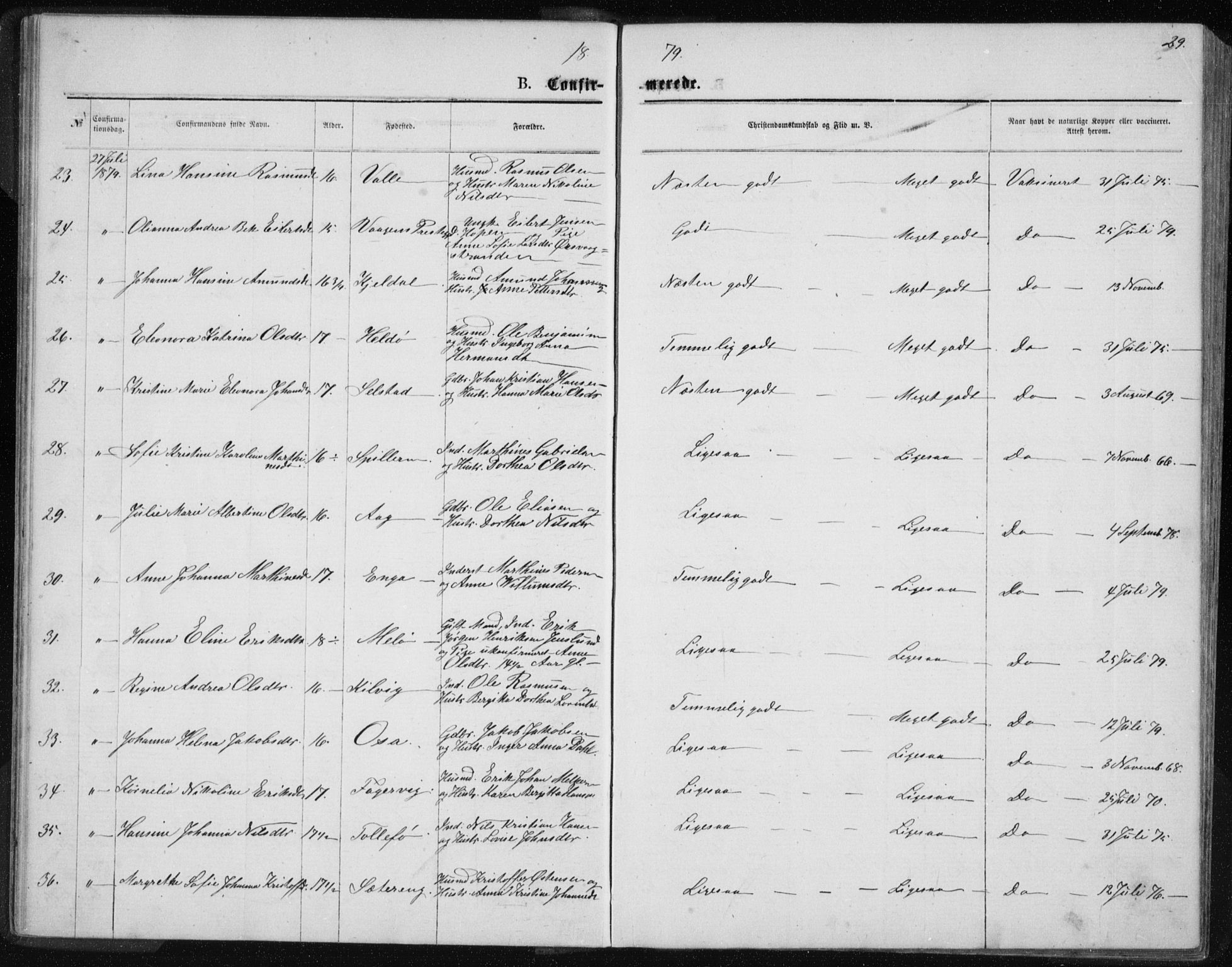 Ministerialprotokoller, klokkerbøker og fødselsregistre - Nordland, AV/SAT-A-1459/843/L0635: Parish register (copy) no. 843C04, 1872-1887, p. 29