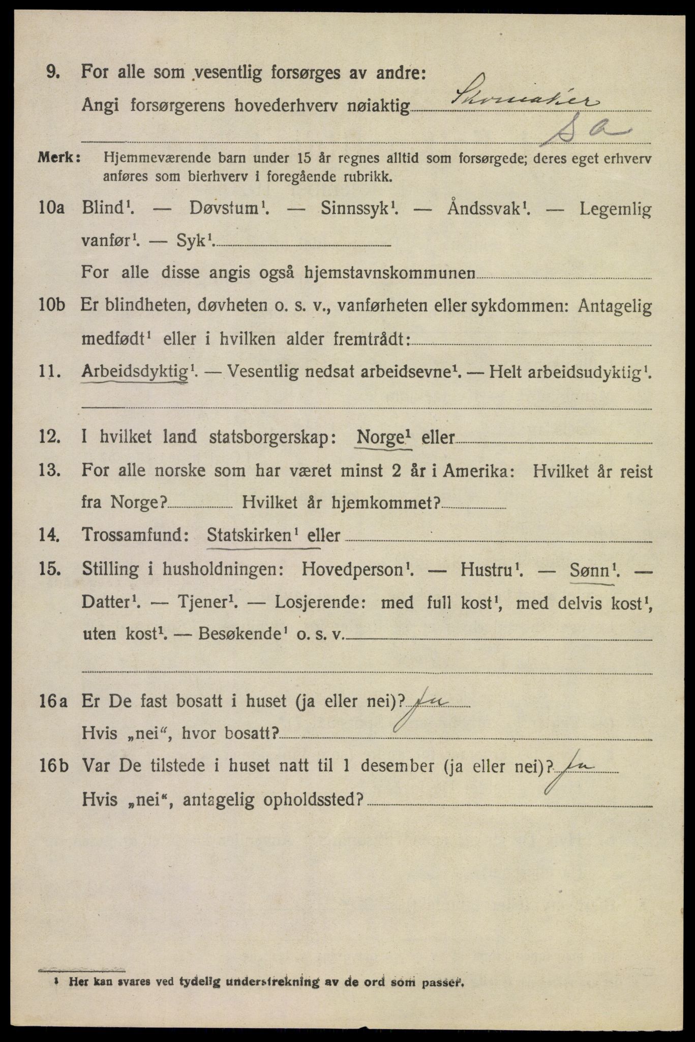 SAKO, 1920 census for Brunlanes, 1920, p. 9250