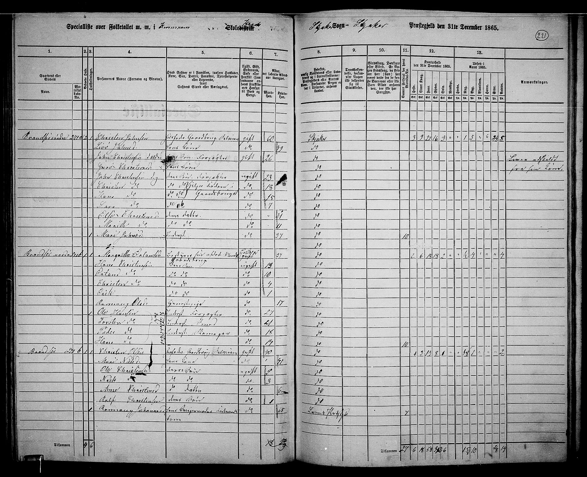 RA, 1865 census for Skjåk, 1865, p. 73