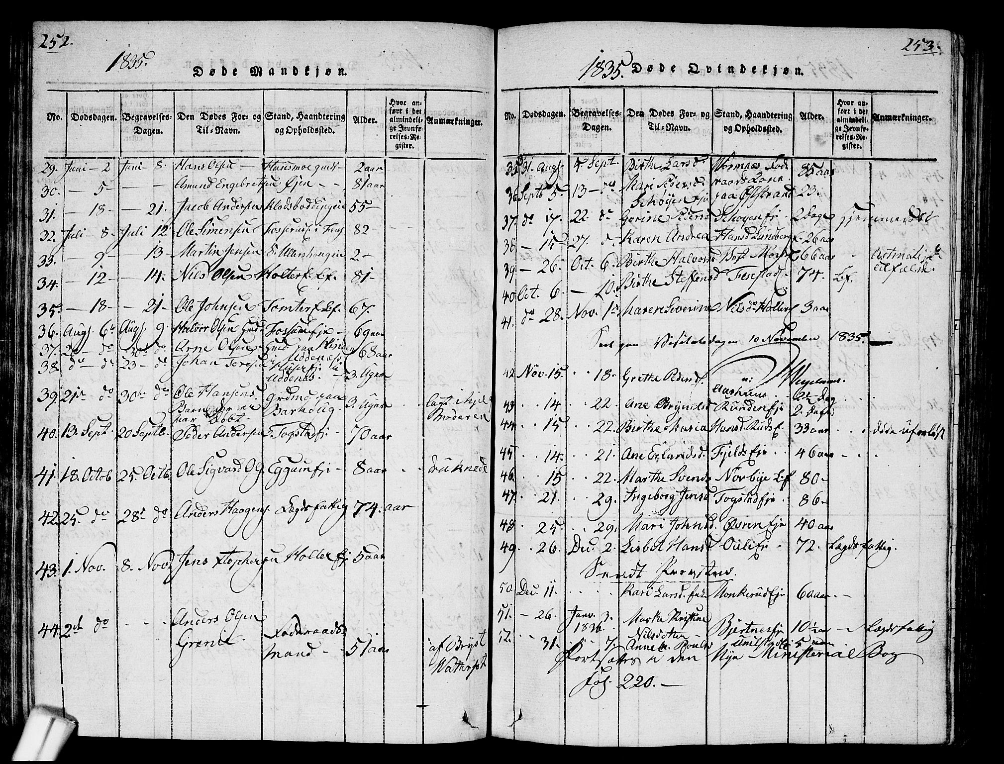 Nes prestekontor Kirkebøker, AV/SAO-A-10410/G/Ga/L0001: Parish register (copy) no. I 1, 1815-1835, p. 252-253