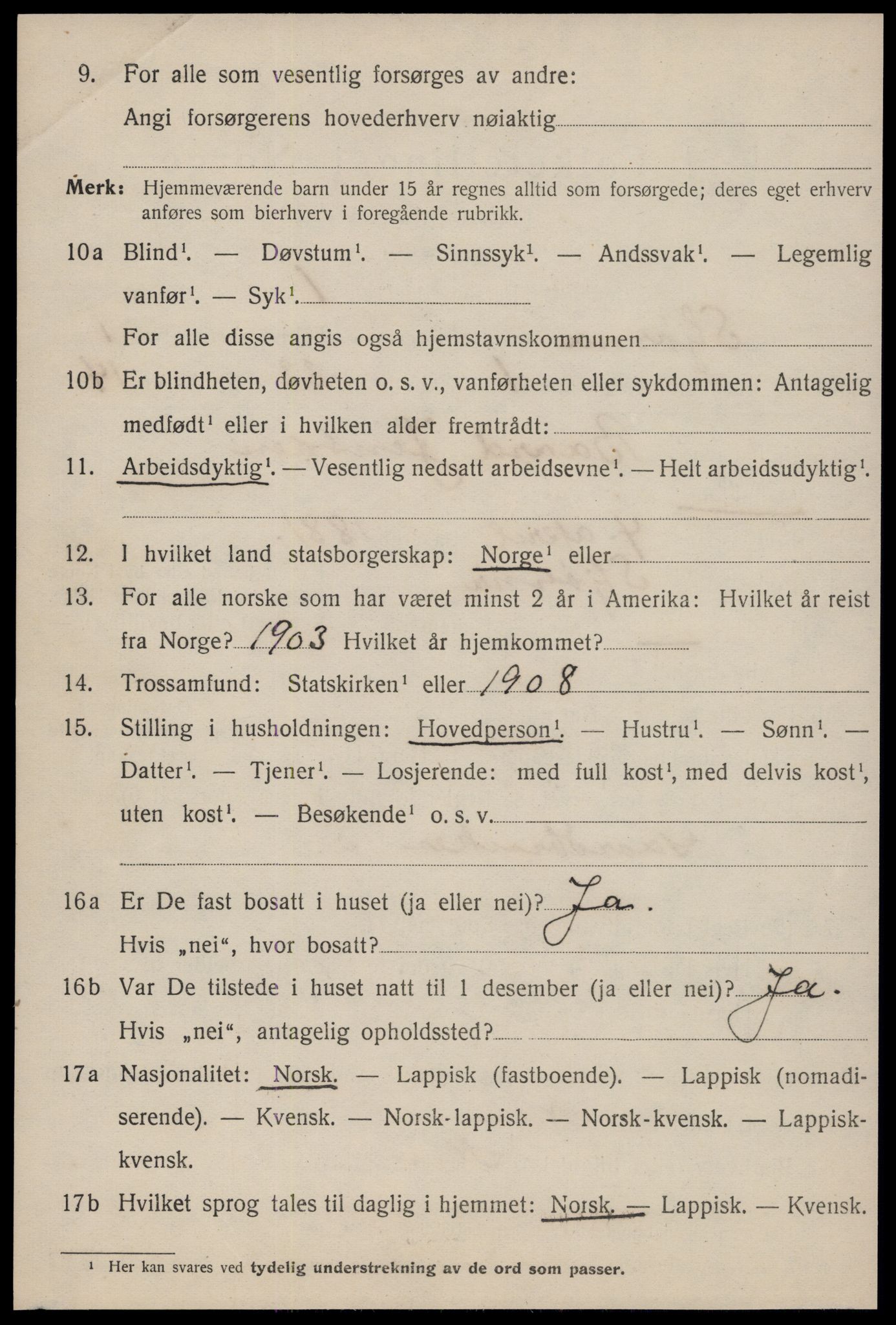 SAT, 1920 census for Stjørna, 1920, p. 941