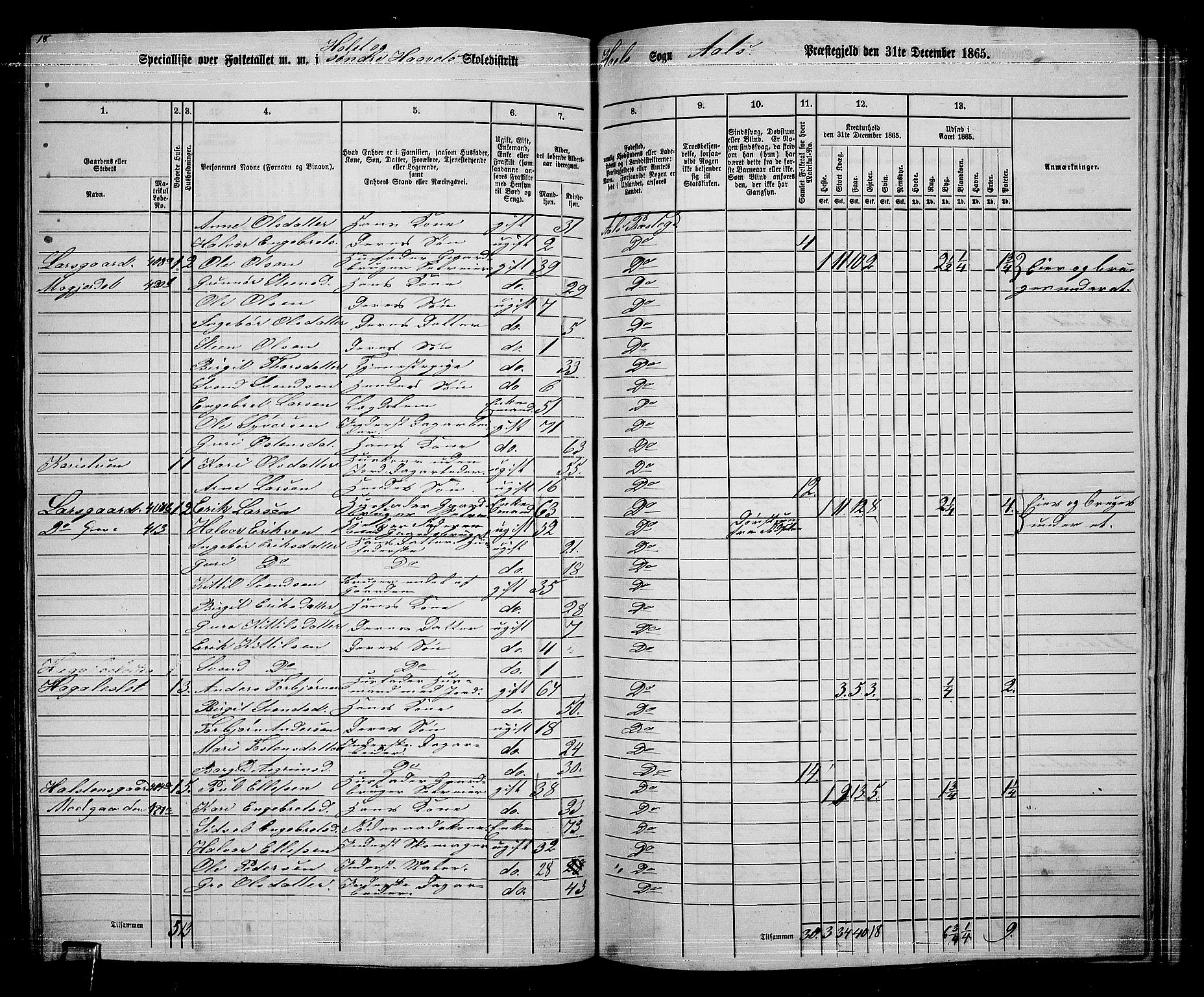 RA, 1865 census for Ål, 1865, p. 201