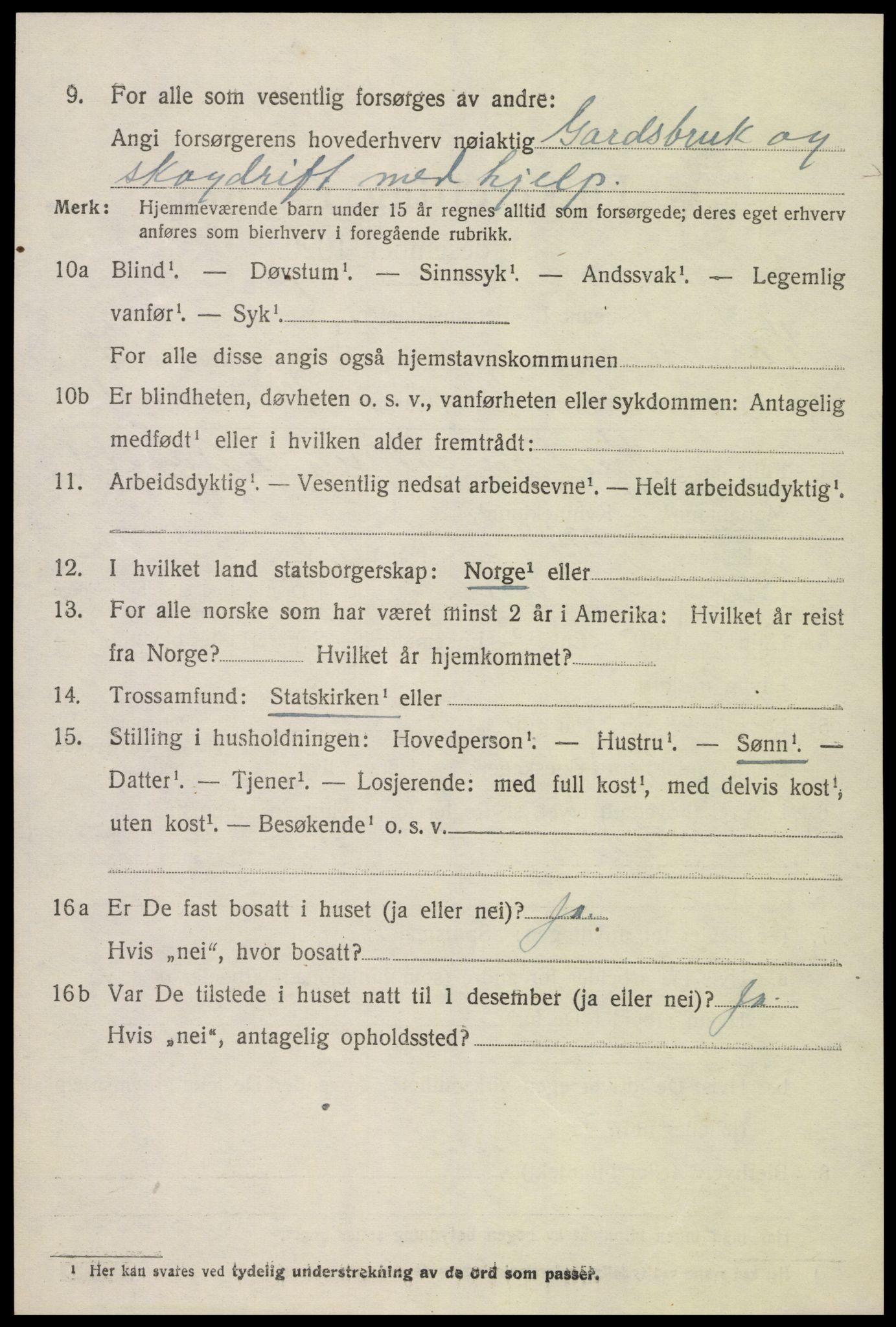 SAK, 1920 census for Hornnes, 1920, p. 1676