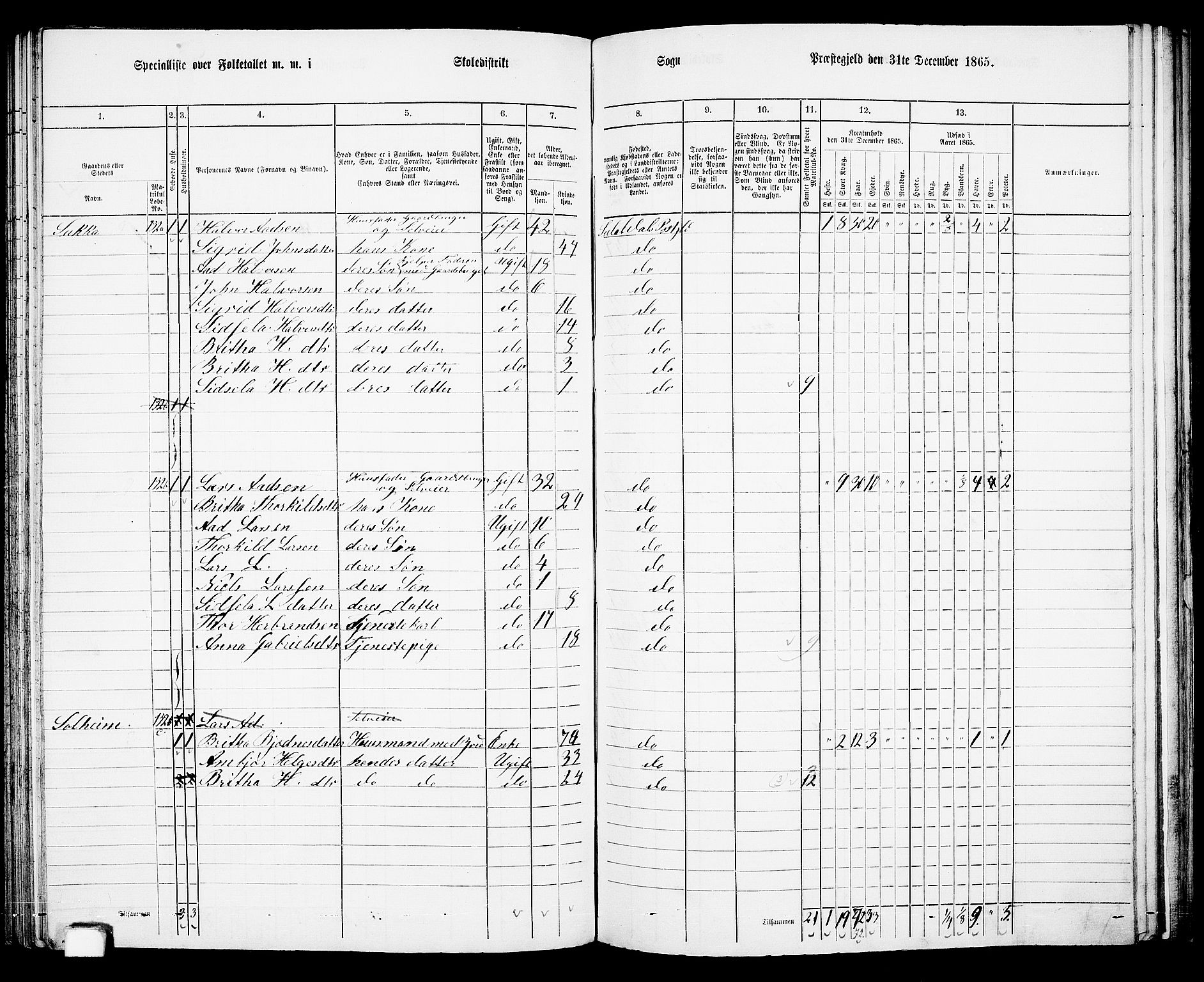 RA, 1865 census for Suldal, 1865, p. 81