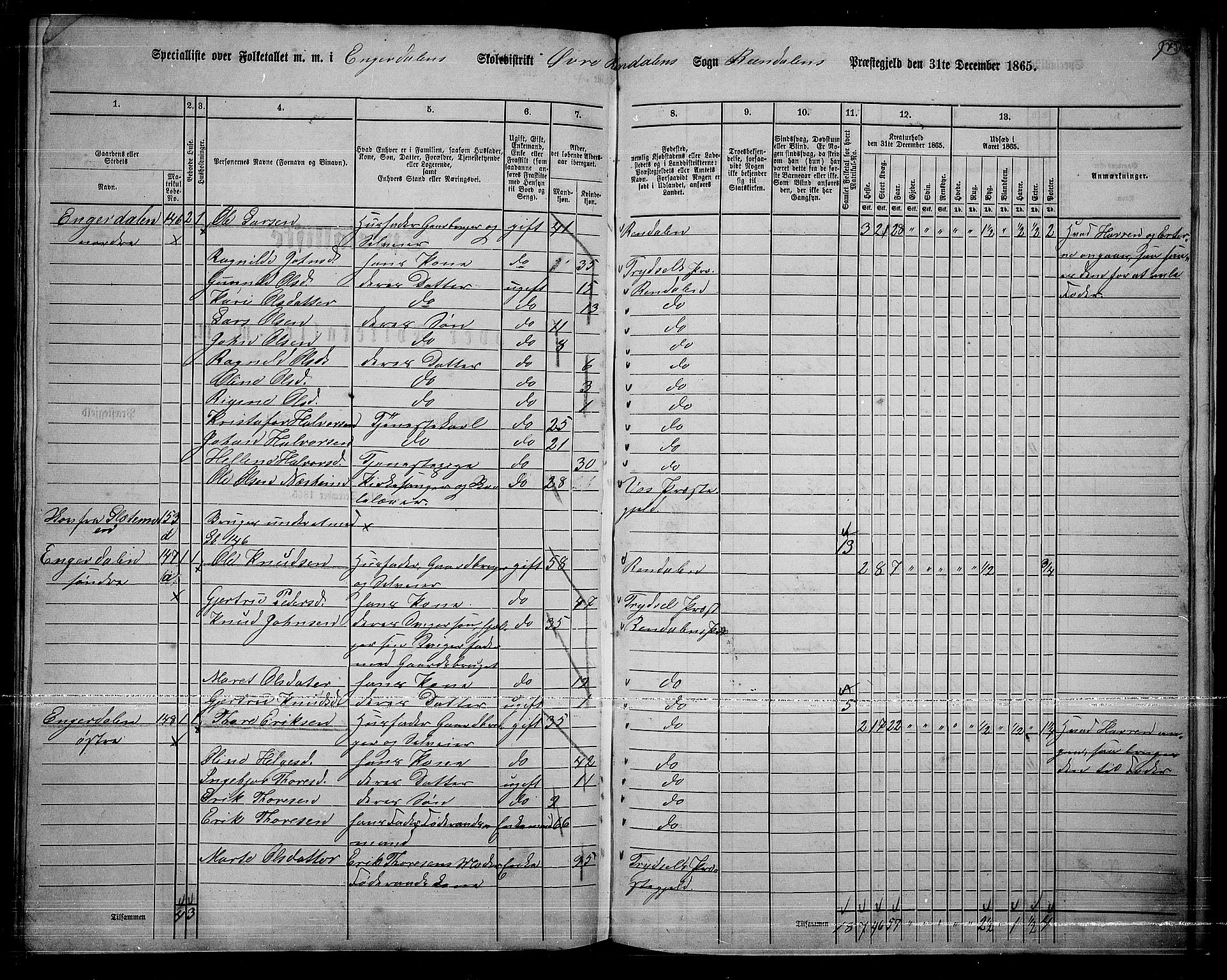 RA, 1865 census for Rendalen, 1865, p. 145