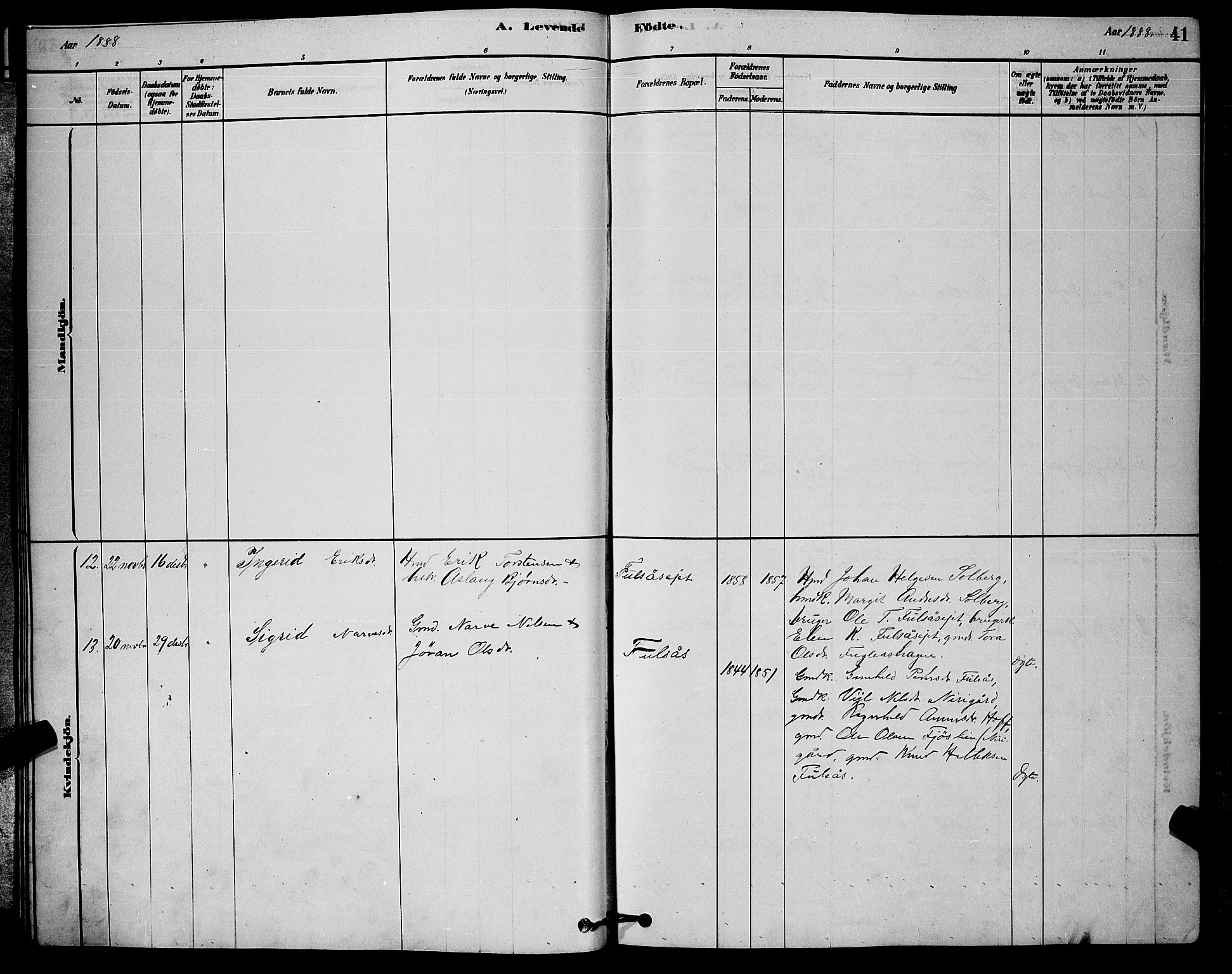 Rollag kirkebøker, AV/SAKO-A-240/G/Ga/L0004: Parish register (copy) no. I 4, 1878-1903, p. 41