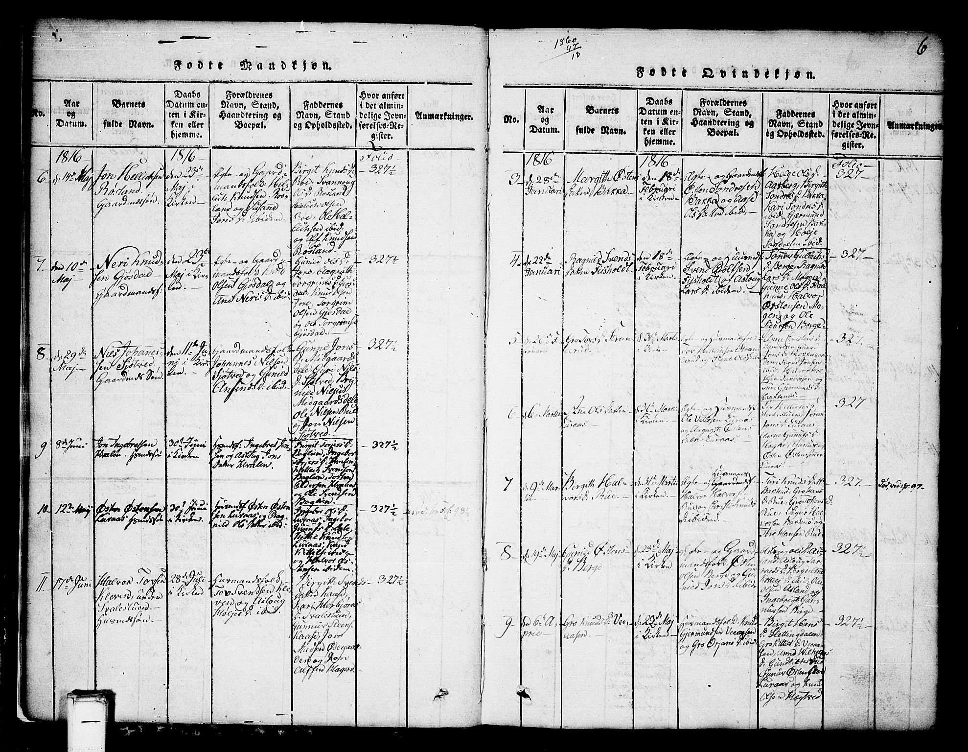 Tinn kirkebøker, AV/SAKO-A-308/G/Ga/L0001: Parish register (copy) no. I 1, 1815-1850, p. 6