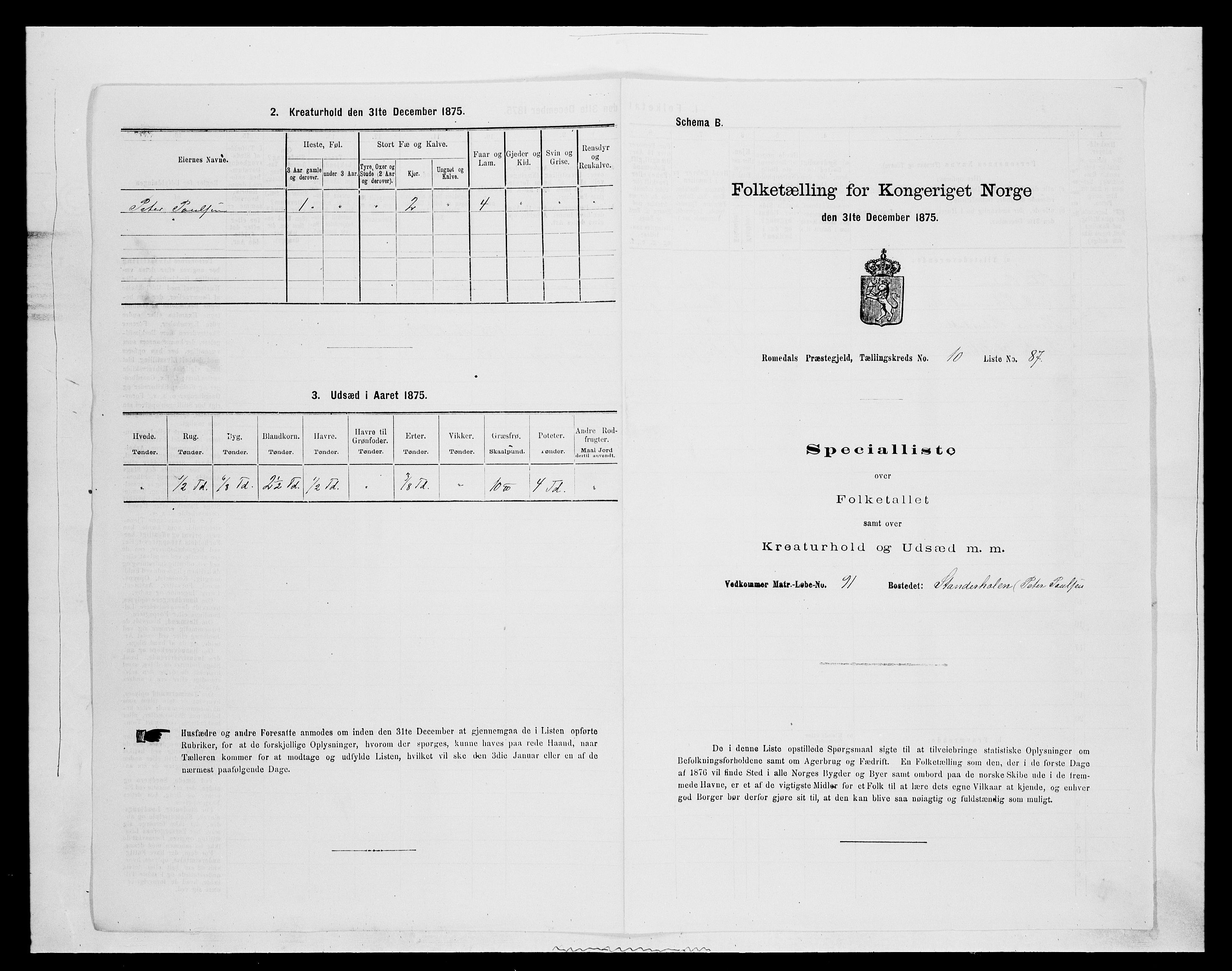 SAH, 1875 census for 0416P Romedal, 1875, p. 1713