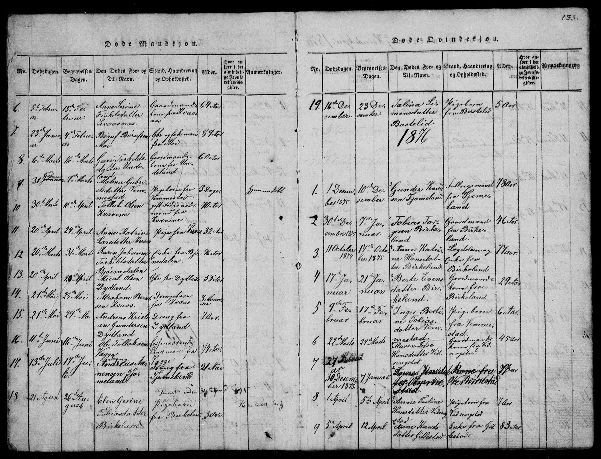 Lyngdal sokneprestkontor, AV/SAK-1111-0029/F/Fb/Fbb/L0001: Parish register (copy) no. B 1, 1816-1900, p. 133