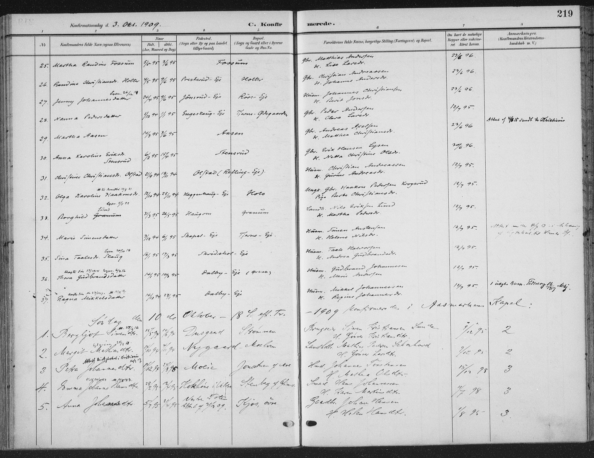 Ringsaker prestekontor, AV/SAH-PREST-014/K/Ka/L0018: Parish register (official) no. 18, 1903-1912, p. 219