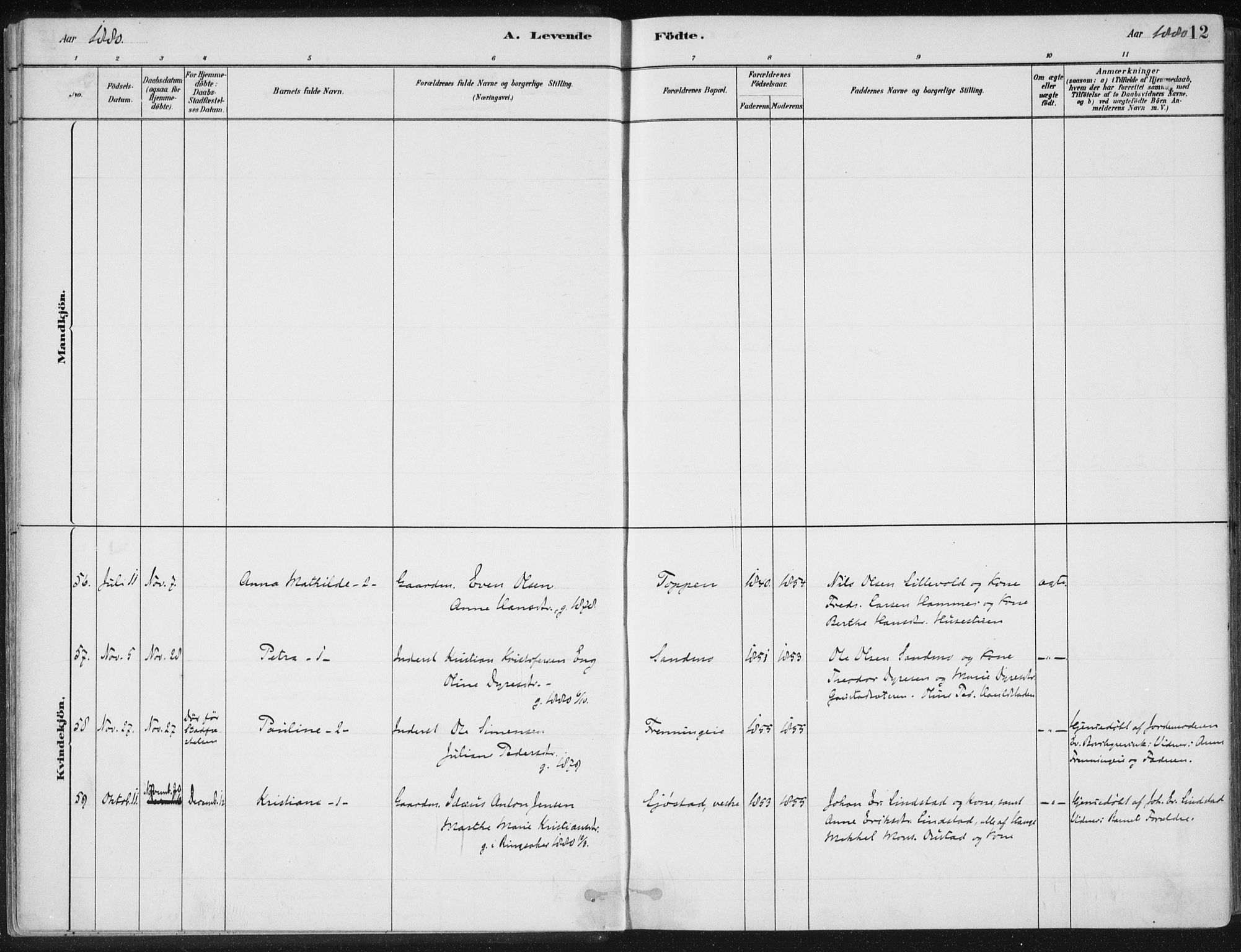 Romedal prestekontor, AV/SAH-PREST-004/K/L0010: Parish register (official) no. 10, 1880-1895, p. 12