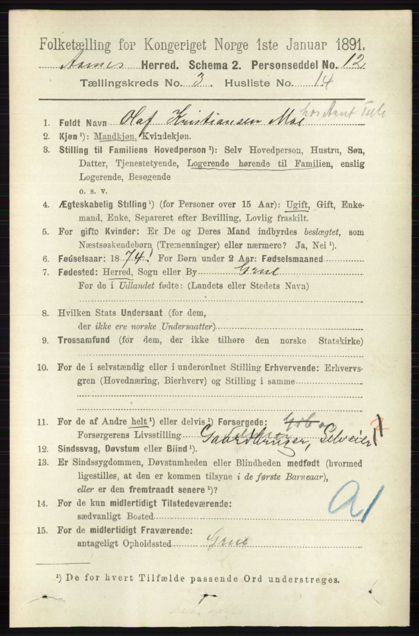 RA, 1891 census for 0425 Åsnes, 1891, p. 1173