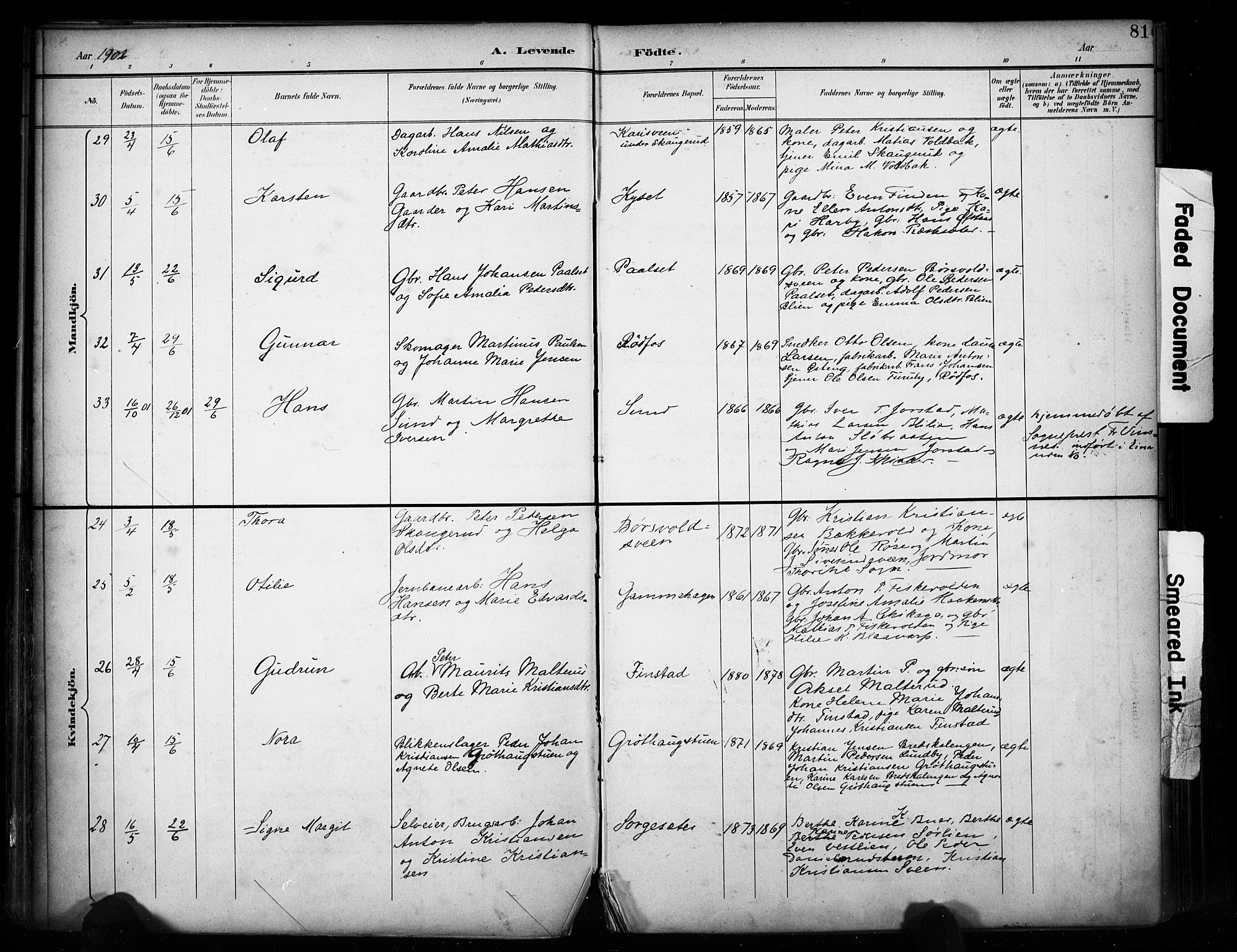 Vestre Toten prestekontor, SAH/PREST-108/H/Ha/Haa/L0011: Parish register (official) no. 11, 1895-1906, p. 81