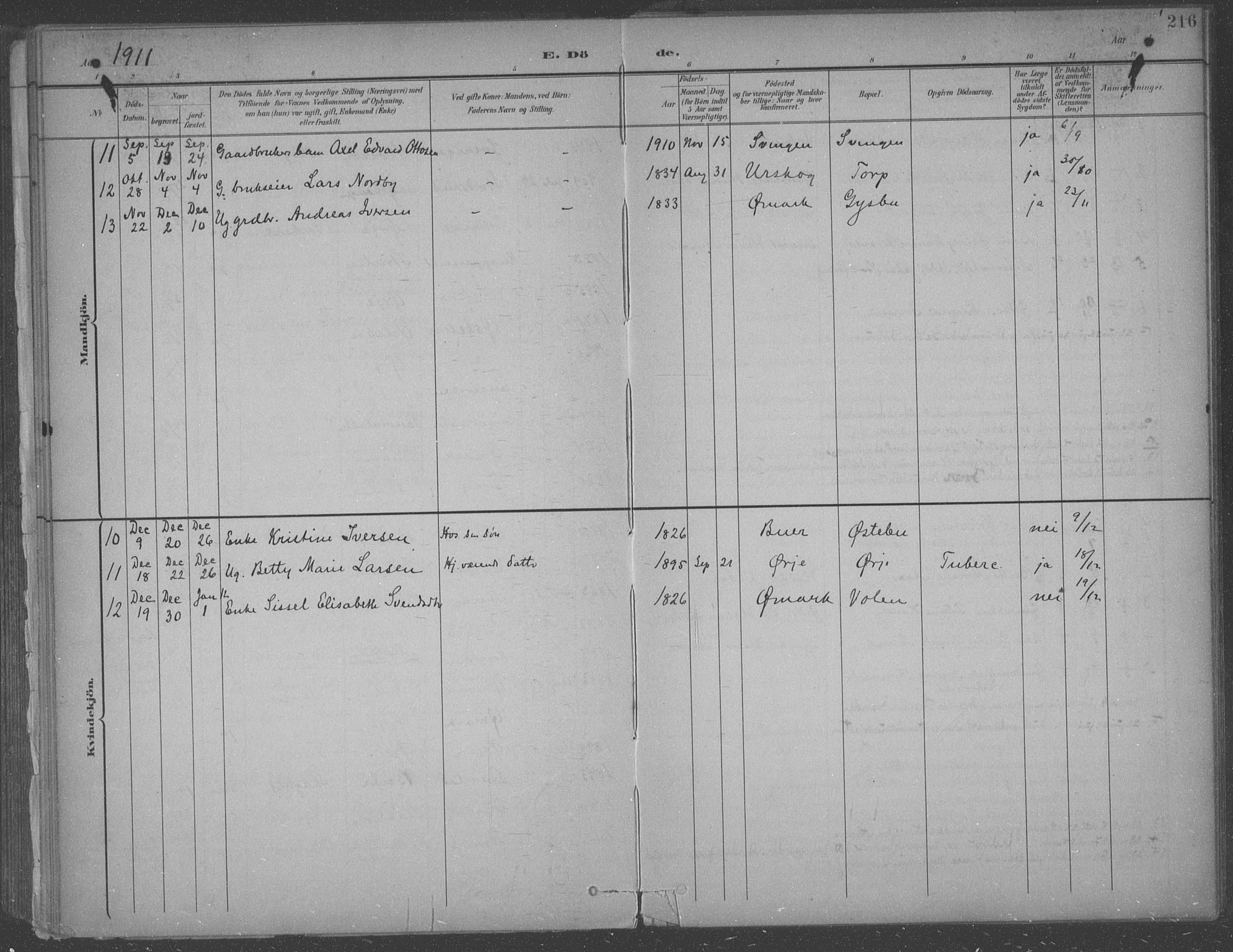 Aremark prestekontor Kirkebøker, AV/SAO-A-10899/F/Fb/L0005: Parish register (official) no. II 5, 1895-1919, p. 216