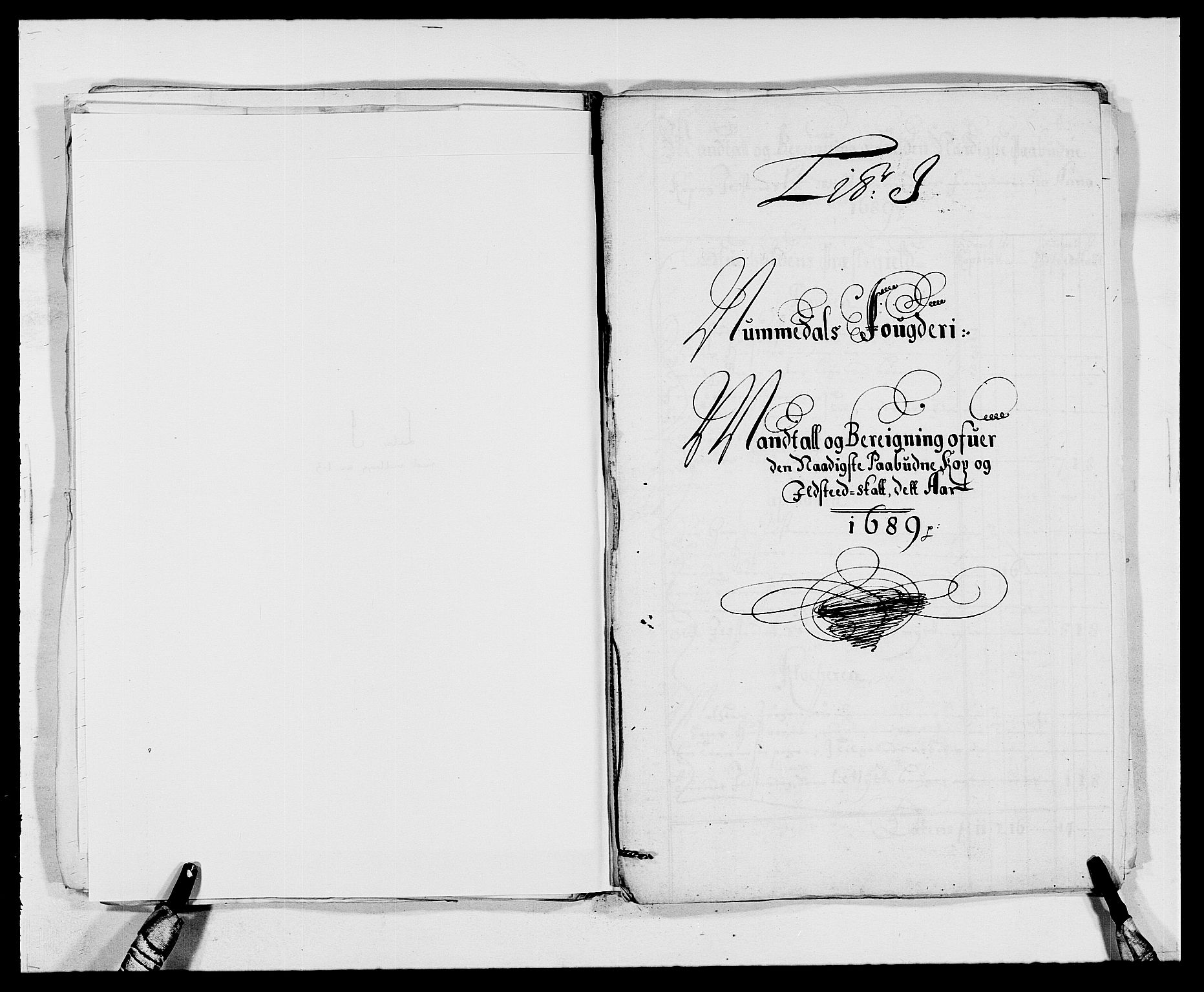 Rentekammeret inntil 1814, Reviderte regnskaper, Fogderegnskap, AV/RA-EA-4092/R64/L4422: Fogderegnskap Namdal, 1687-1689, p. 240