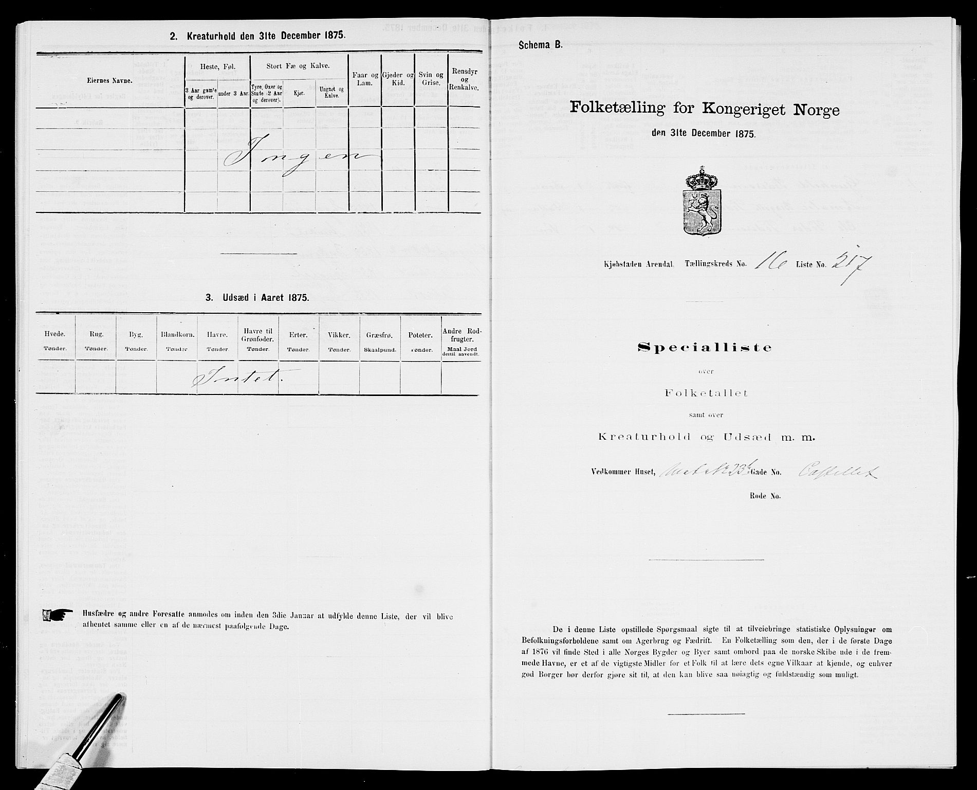 SAK, 1875 census for 0903P Arendal, 1875, p. 507