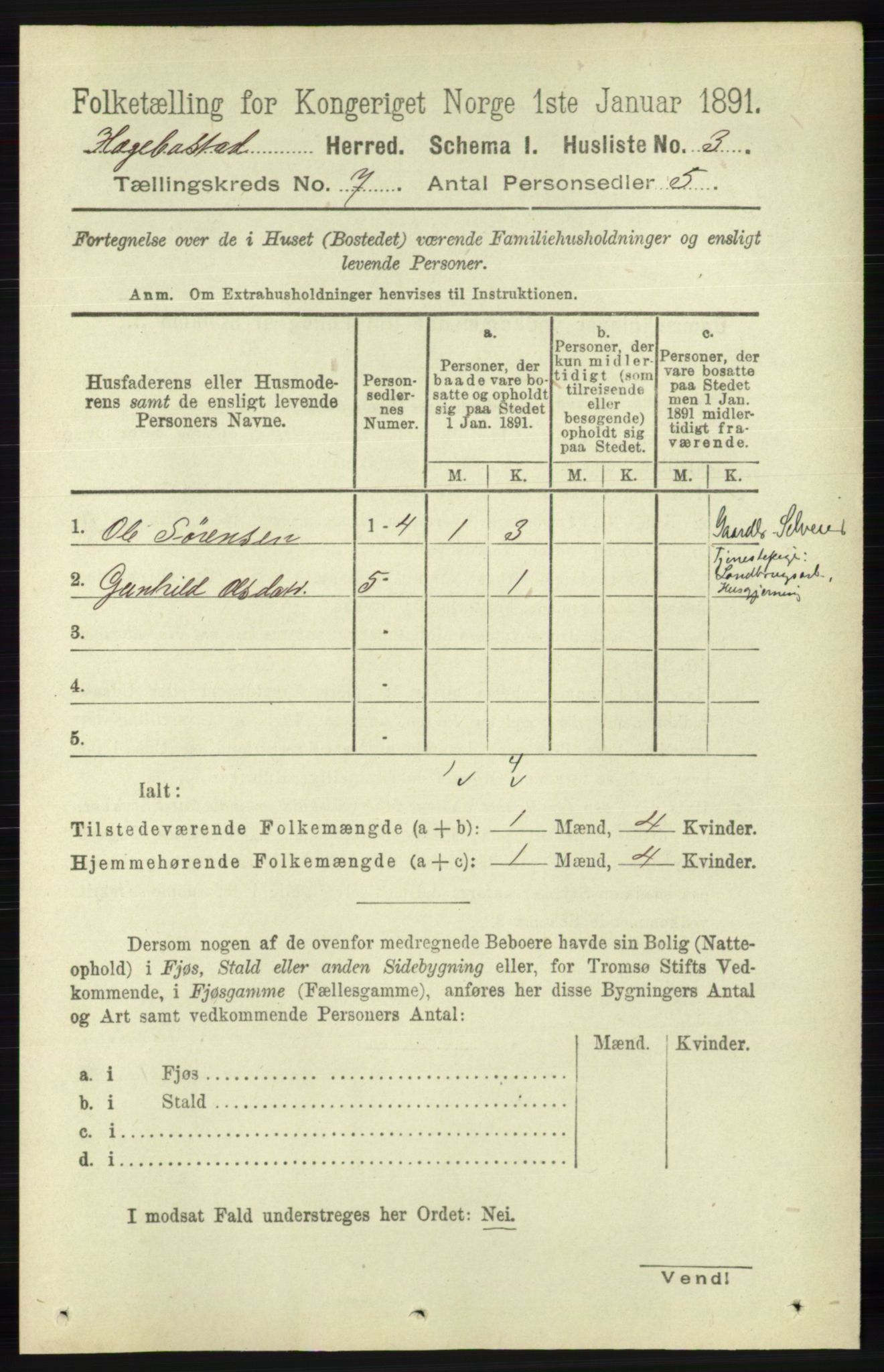 RA, 1891 census for 1034 Hægebostad, 1891, p. 2050