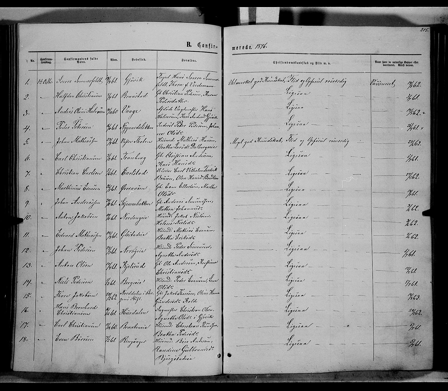 Vardal prestekontor, SAH/PREST-100/H/Ha/Hab/L0006: Parish register (copy) no. 6, 1869-1881, p. 205