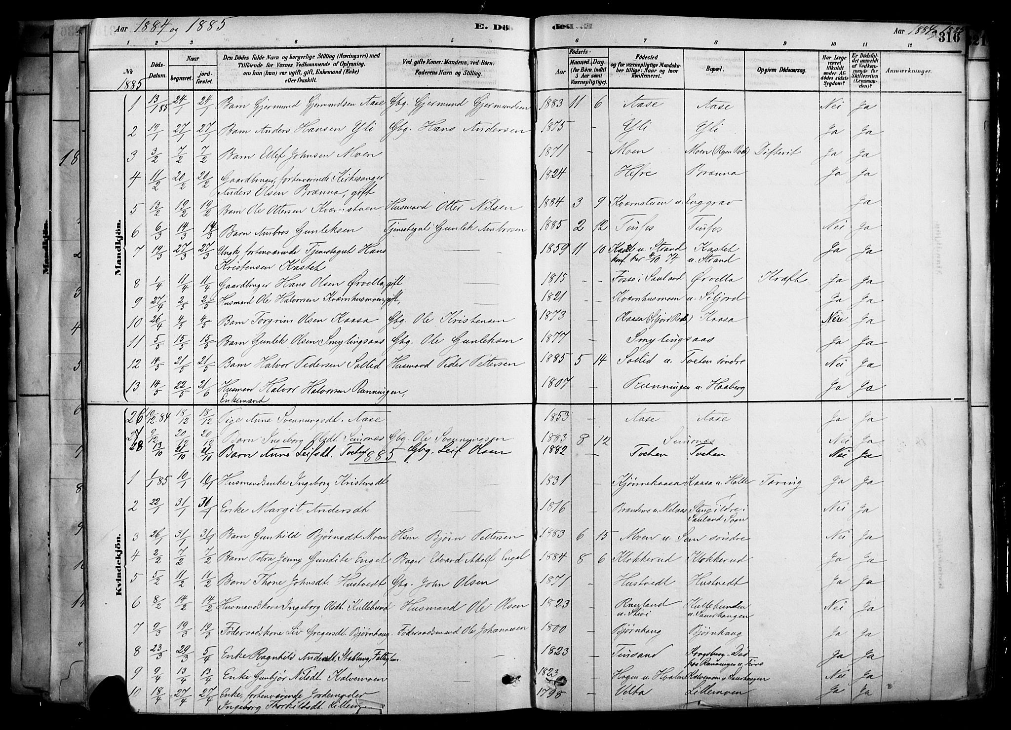 Heddal kirkebøker, SAKO/A-268/F/Fa/L0008: Parish register (official) no. I 8, 1878-1903, p. 316