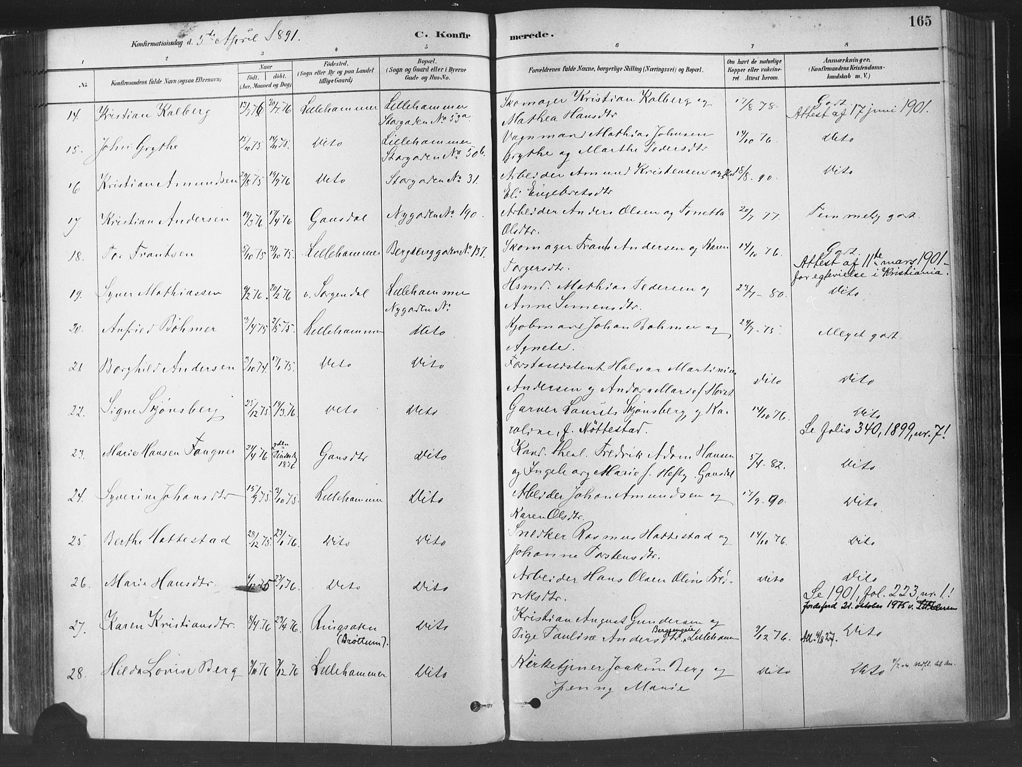 Fåberg prestekontor, SAH/PREST-086/H/Ha/Haa/L0010: Parish register (official) no. 10, 1879-1900, p. 165