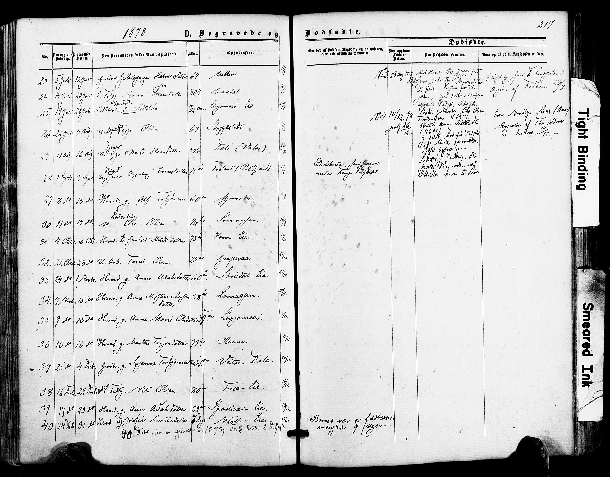 Froland sokneprestkontor, AV/SAK-1111-0013/F/Fa/L0003: Parish register (official) no. A 3, 1864-1881, p. 217