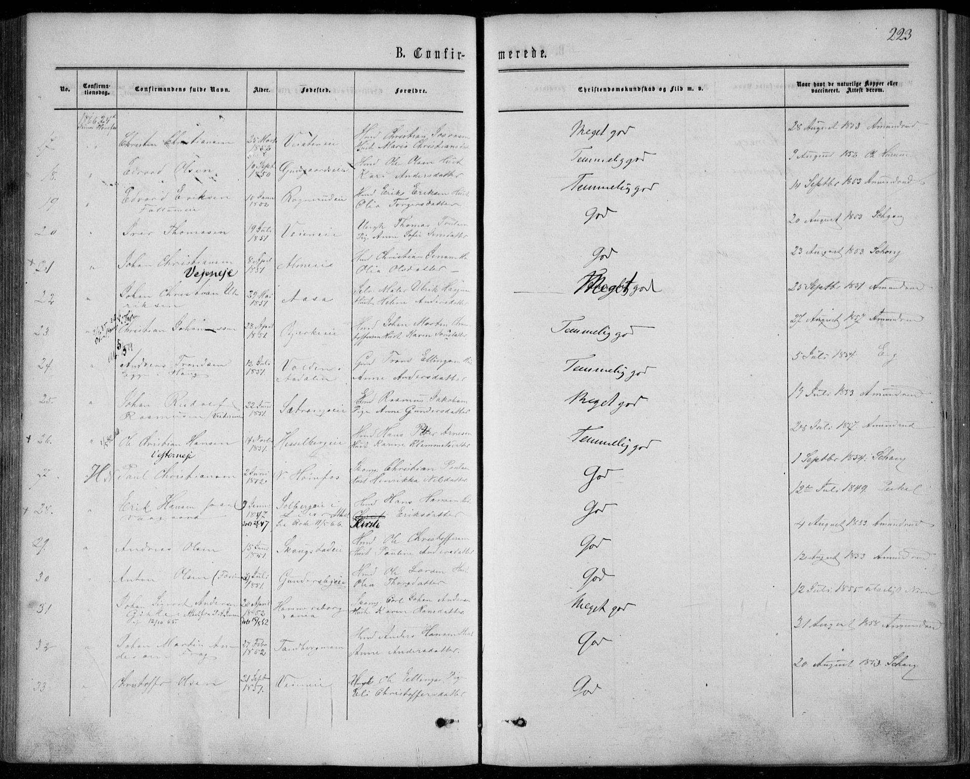 Norderhov kirkebøker, AV/SAKO-A-237/F/Fa/L0013: Parish register (official) no. 13, 1866-1874, p. 223