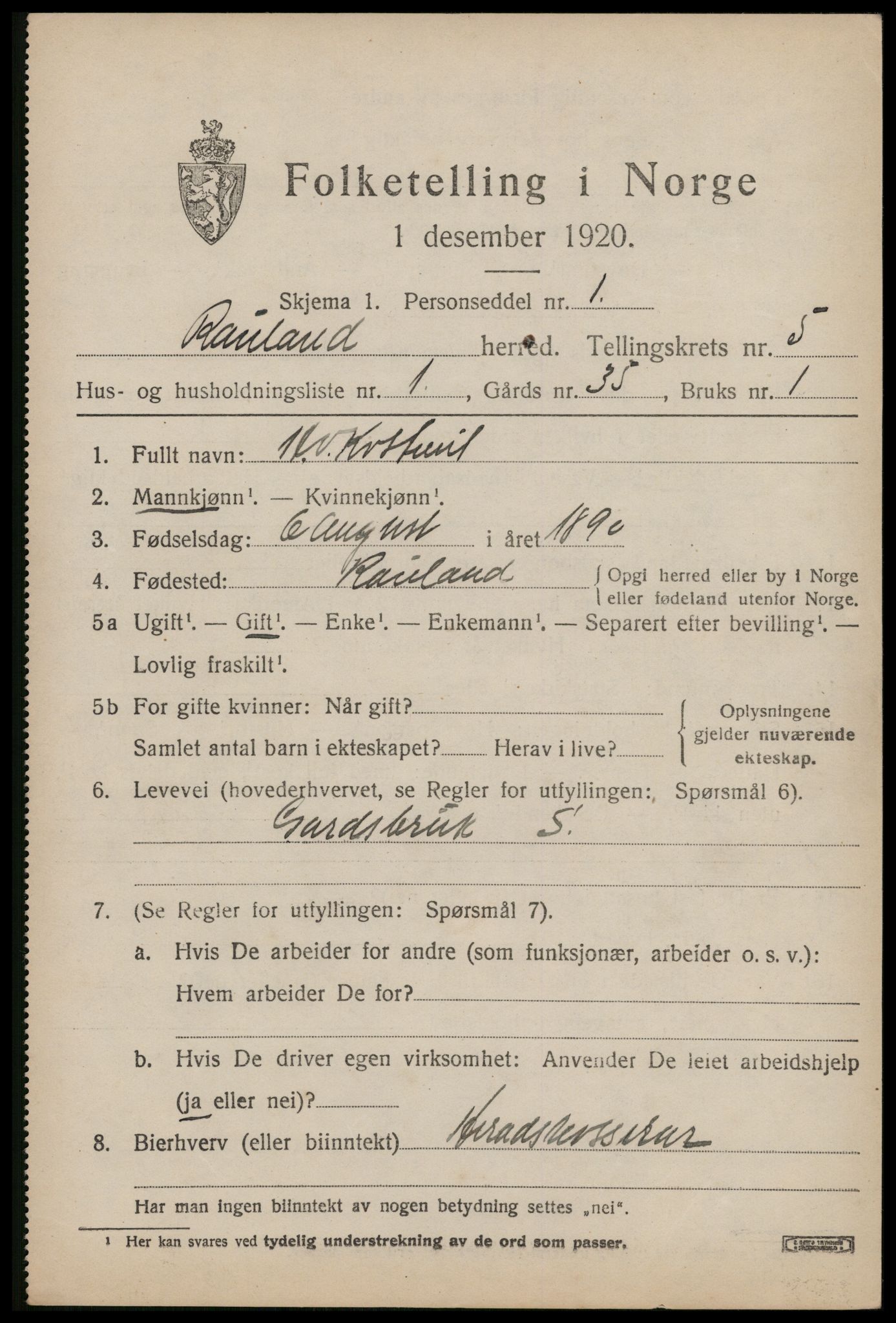 SAKO, 1920 census for Rauland, 1920, p. 1010