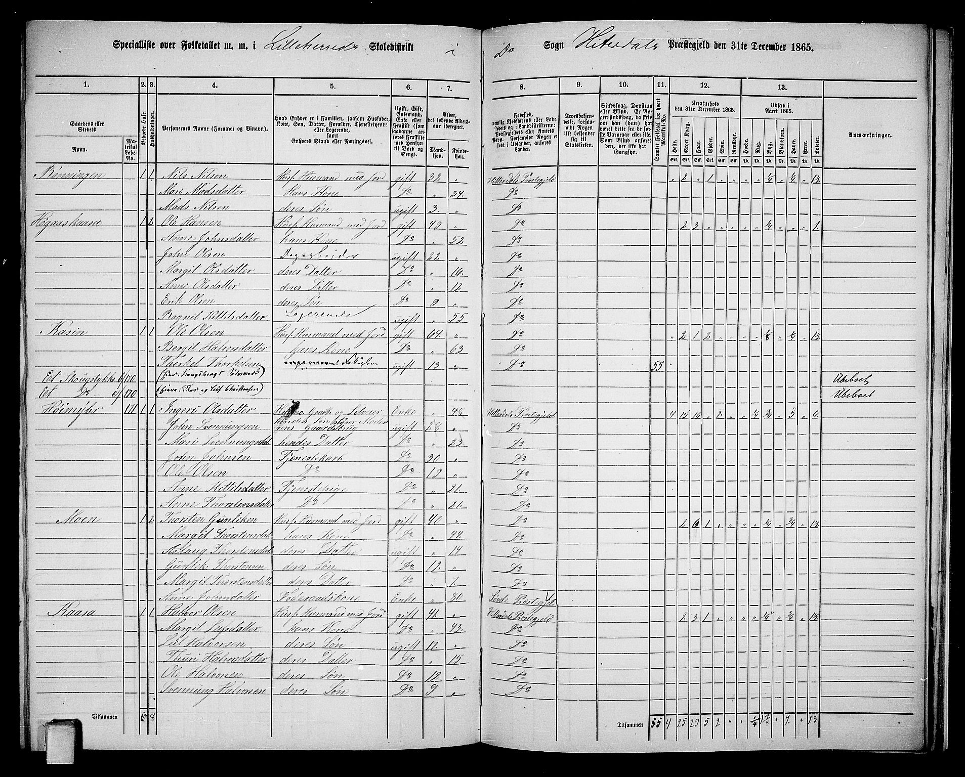 RA, 1865 census for Heddal, 1865, p. 133