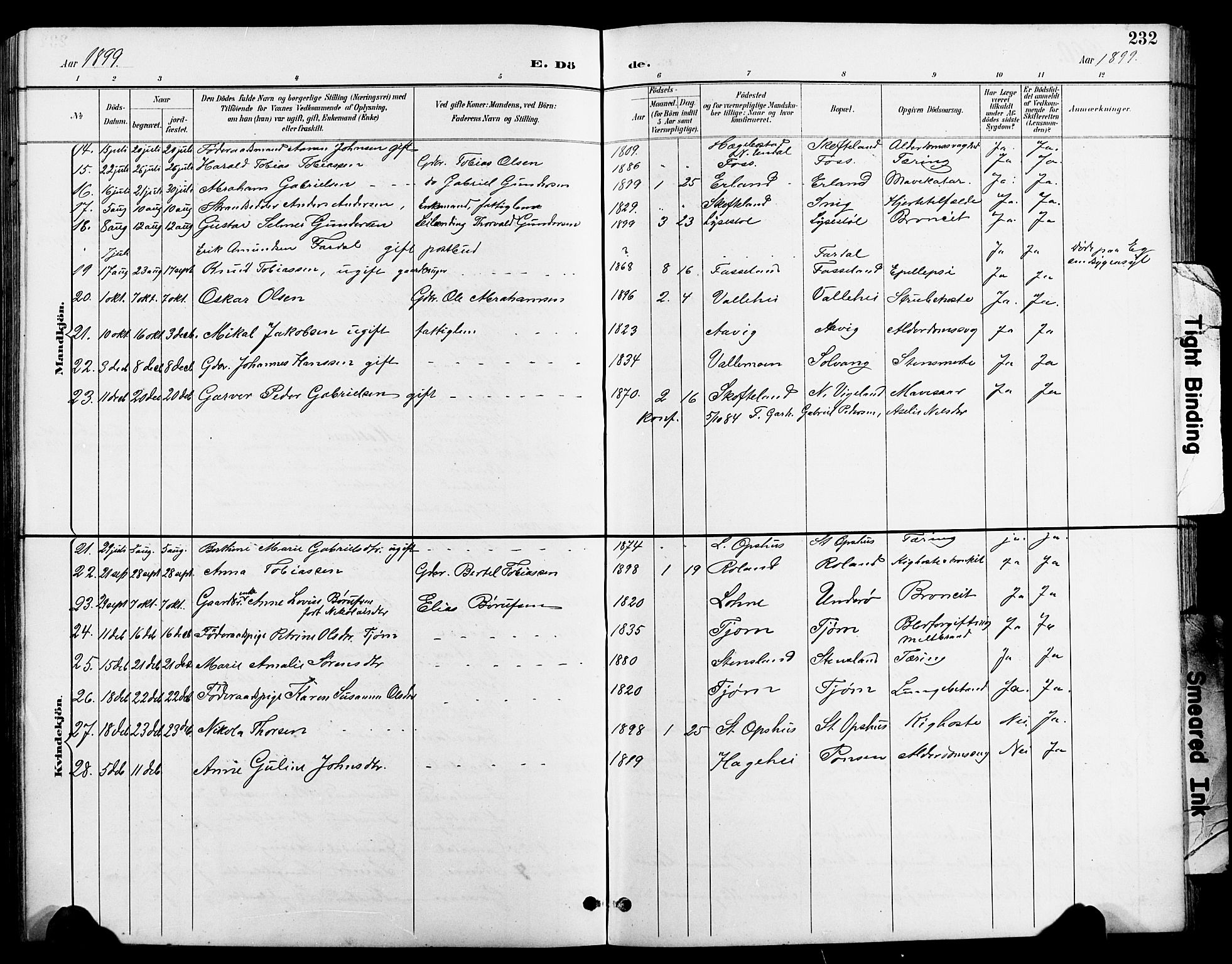 Sør-Audnedal sokneprestkontor, AV/SAK-1111-0039/F/Fb/Fbb/L0006: Parish register (copy) no. B 6, 1893-1915, p. 232