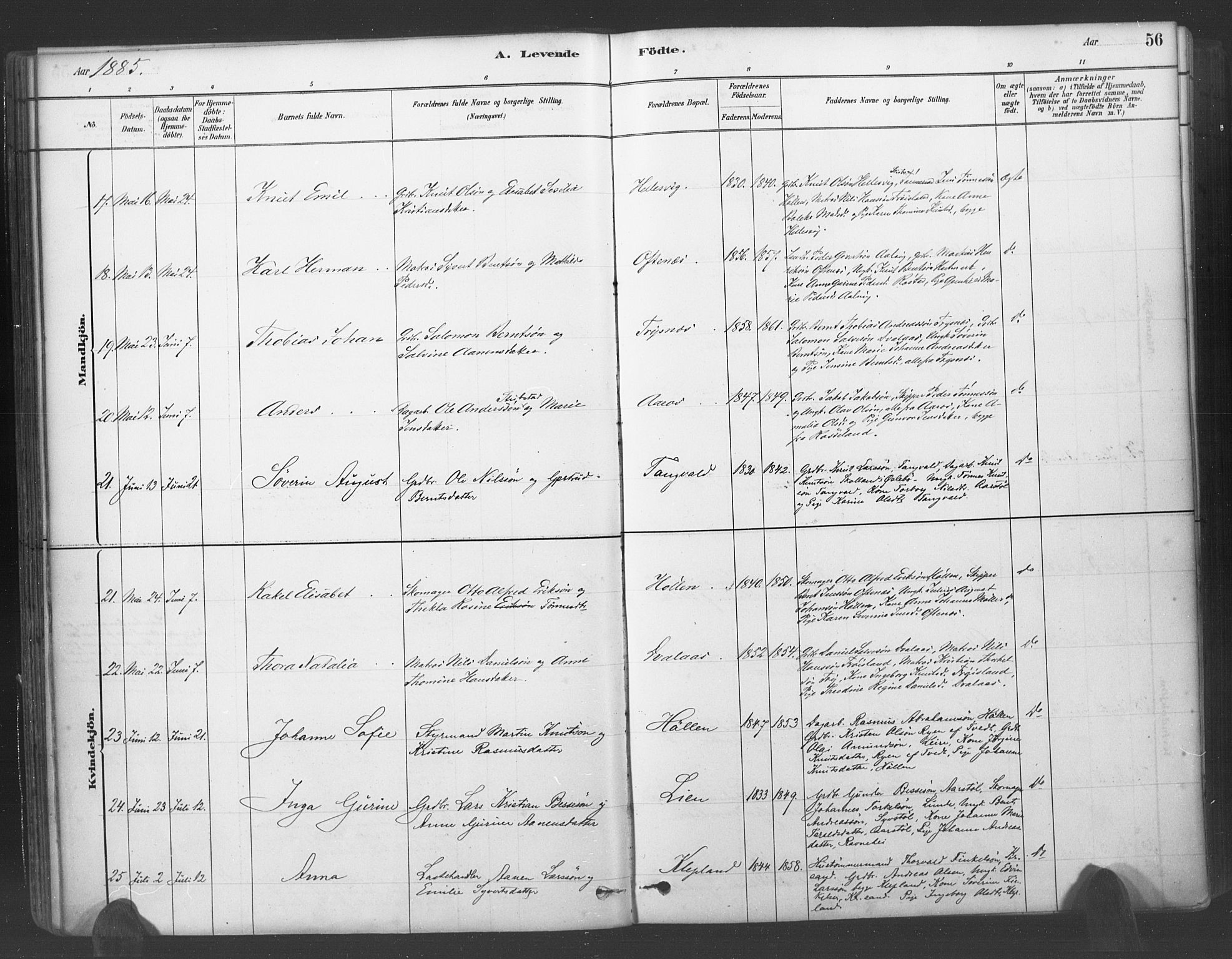 Søgne sokneprestkontor, SAK/1111-0037/F/Fa/Fab/L0012: Parish register (official) no. A 12, 1880-1891, p. 56