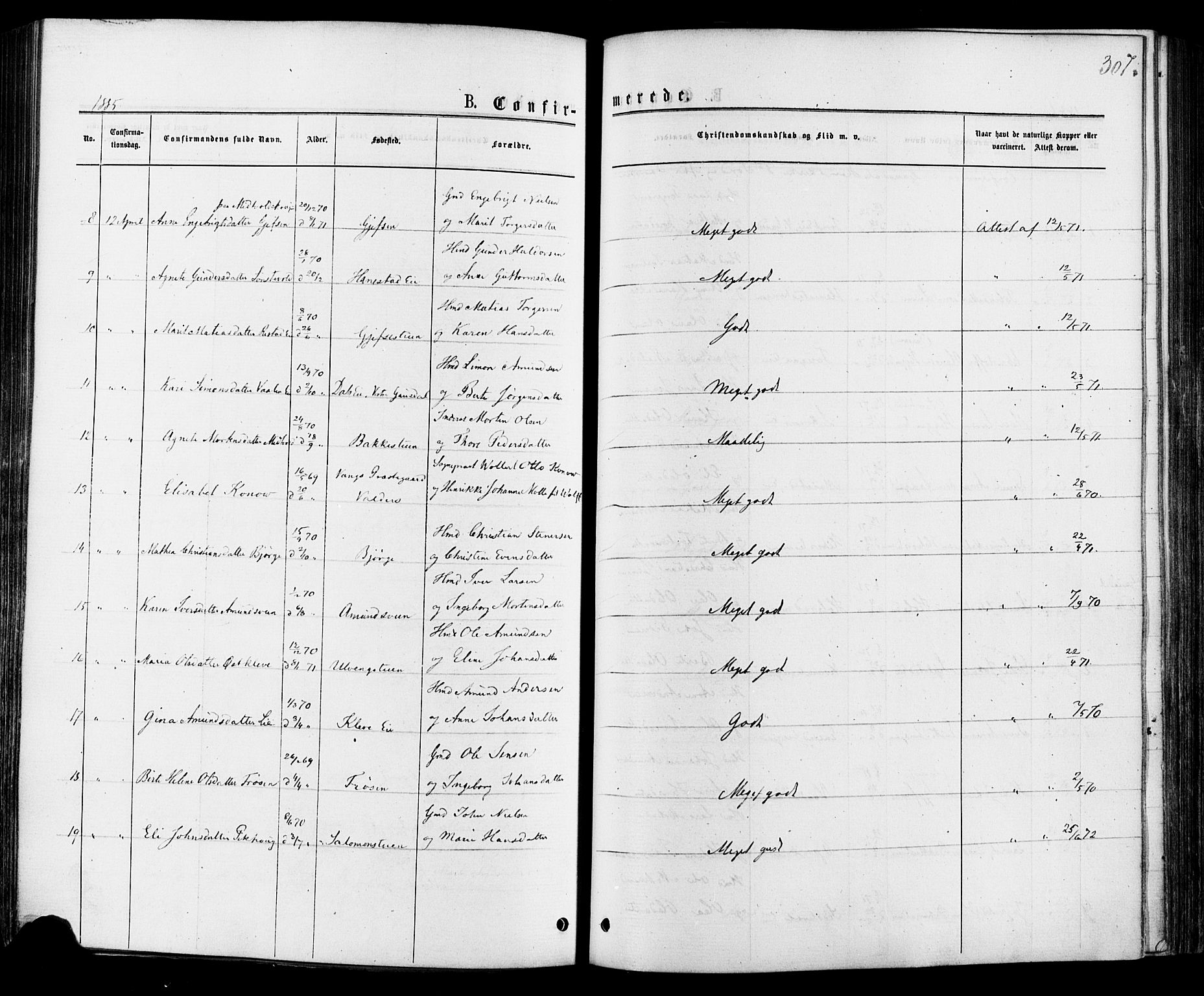 Østre Gausdal prestekontor, AV/SAH-PREST-092/H/Ha/Haa/L0001: Parish register (official) no. 1, 1874-1886, p. 307