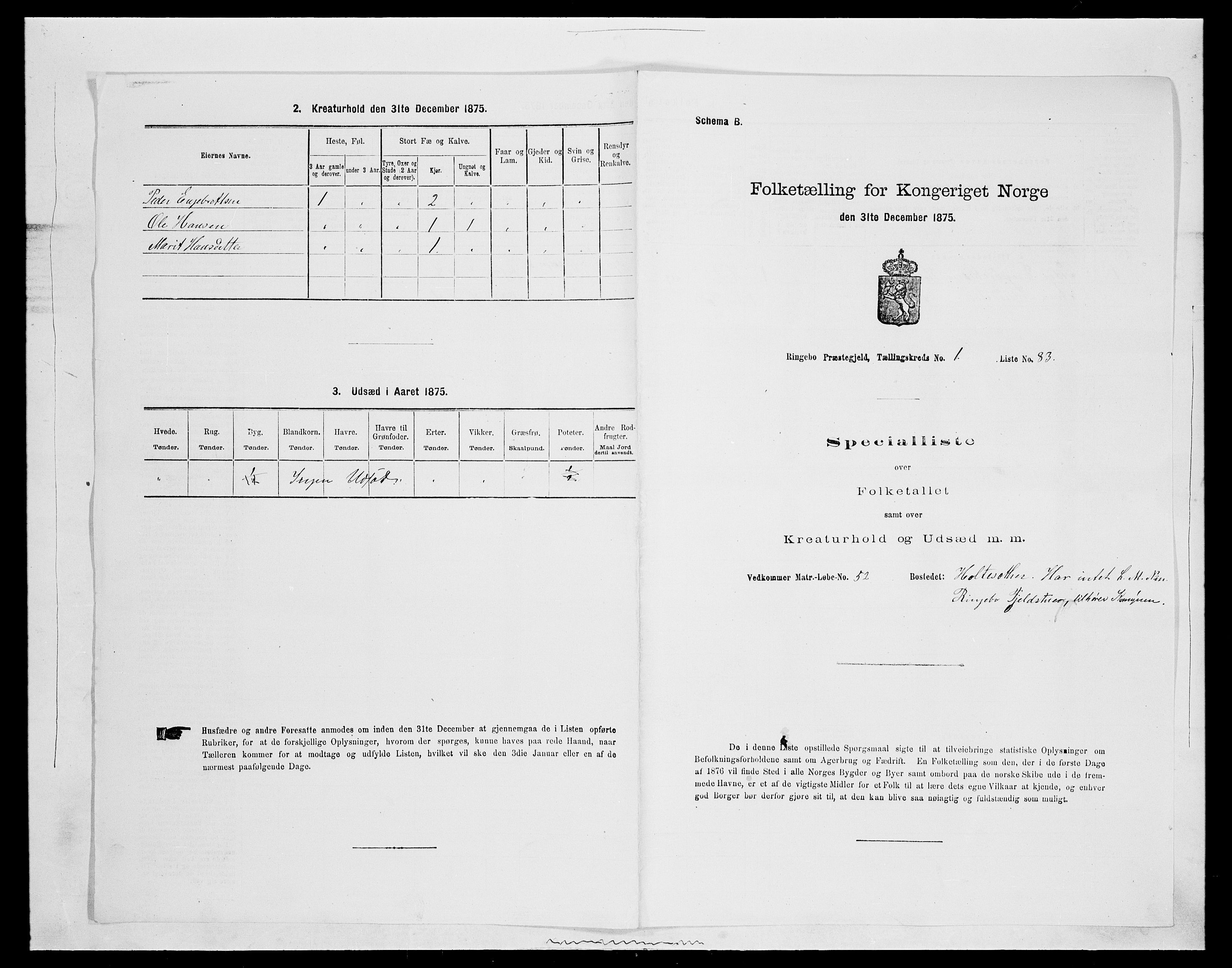 SAH, 1875 census for 0520P Ringebu, 1875, p. 252