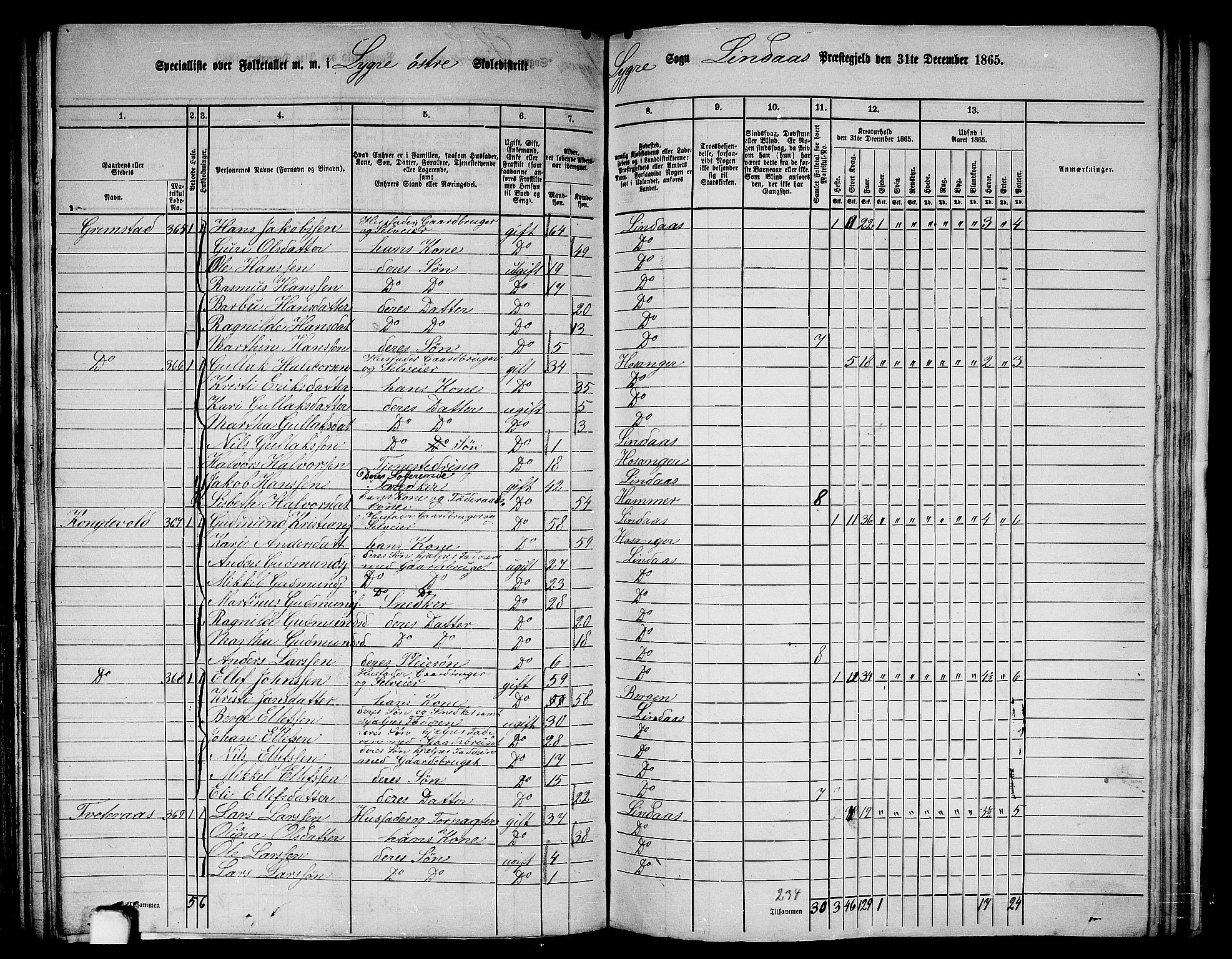 RA, 1865 census for Lindås, 1865, p. 162