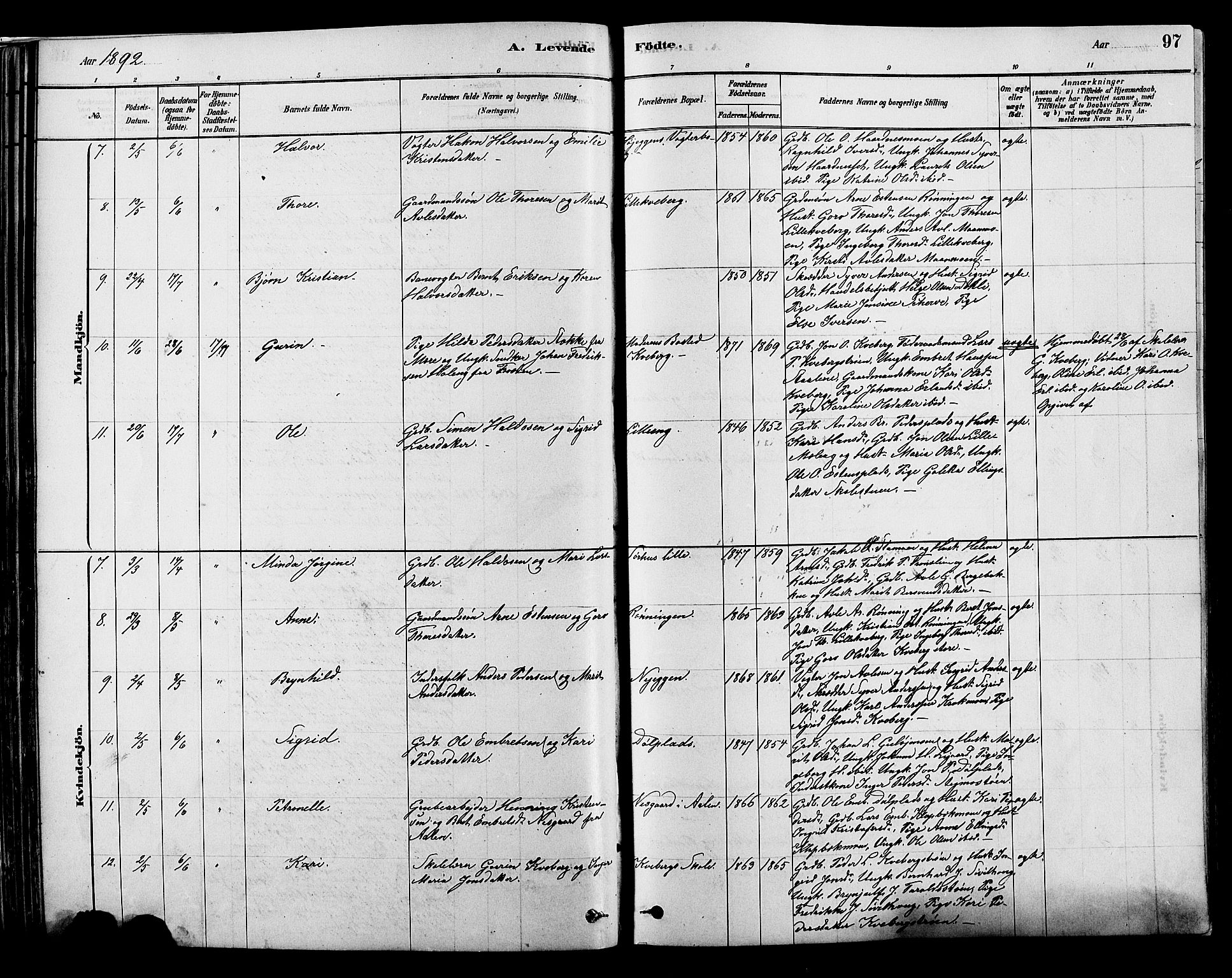 Alvdal prestekontor, AV/SAH-PREST-060/H/Ha/Hab/L0003: Parish register (copy) no. 3, 1878-1907, p. 97