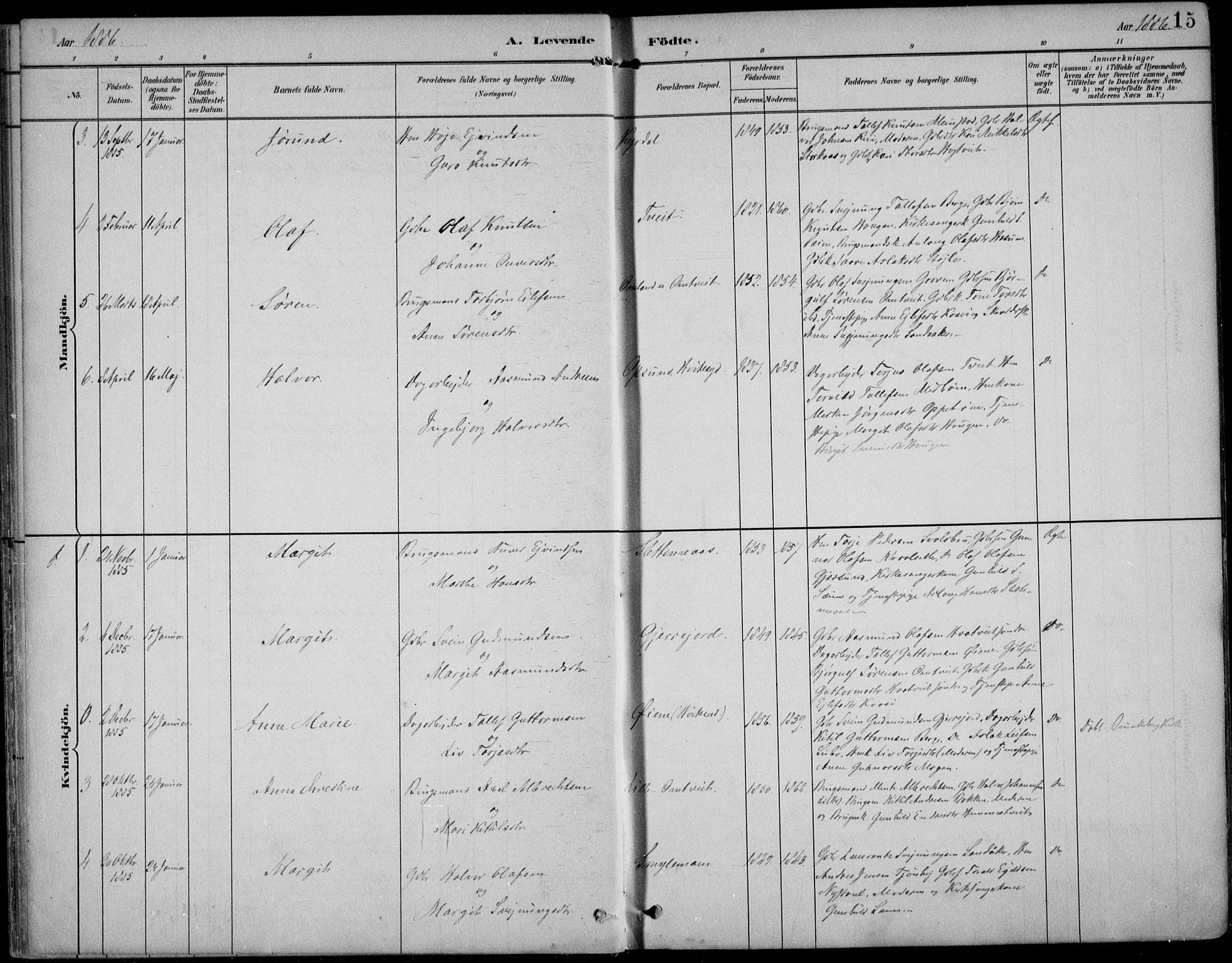 Kviteseid kirkebøker, AV/SAKO-A-276/F/Fb/L0002: Parish register (official) no. II 2, 1882-1916, p. 15