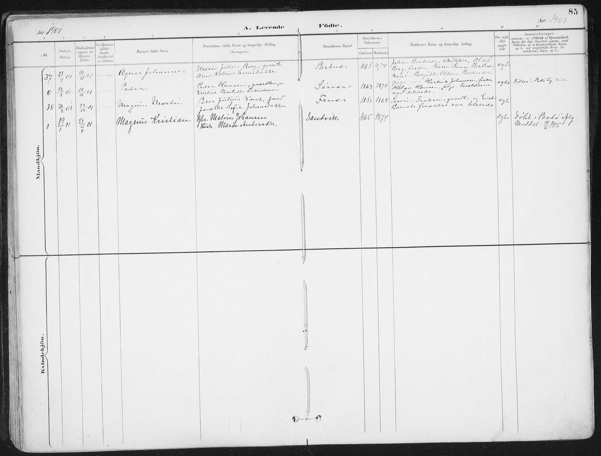 Ministerialprotokoller, klokkerbøker og fødselsregistre - Nordland, AV/SAT-A-1459/802/L0055: Parish register (official) no. 802A02, 1894-1915, p. 85
