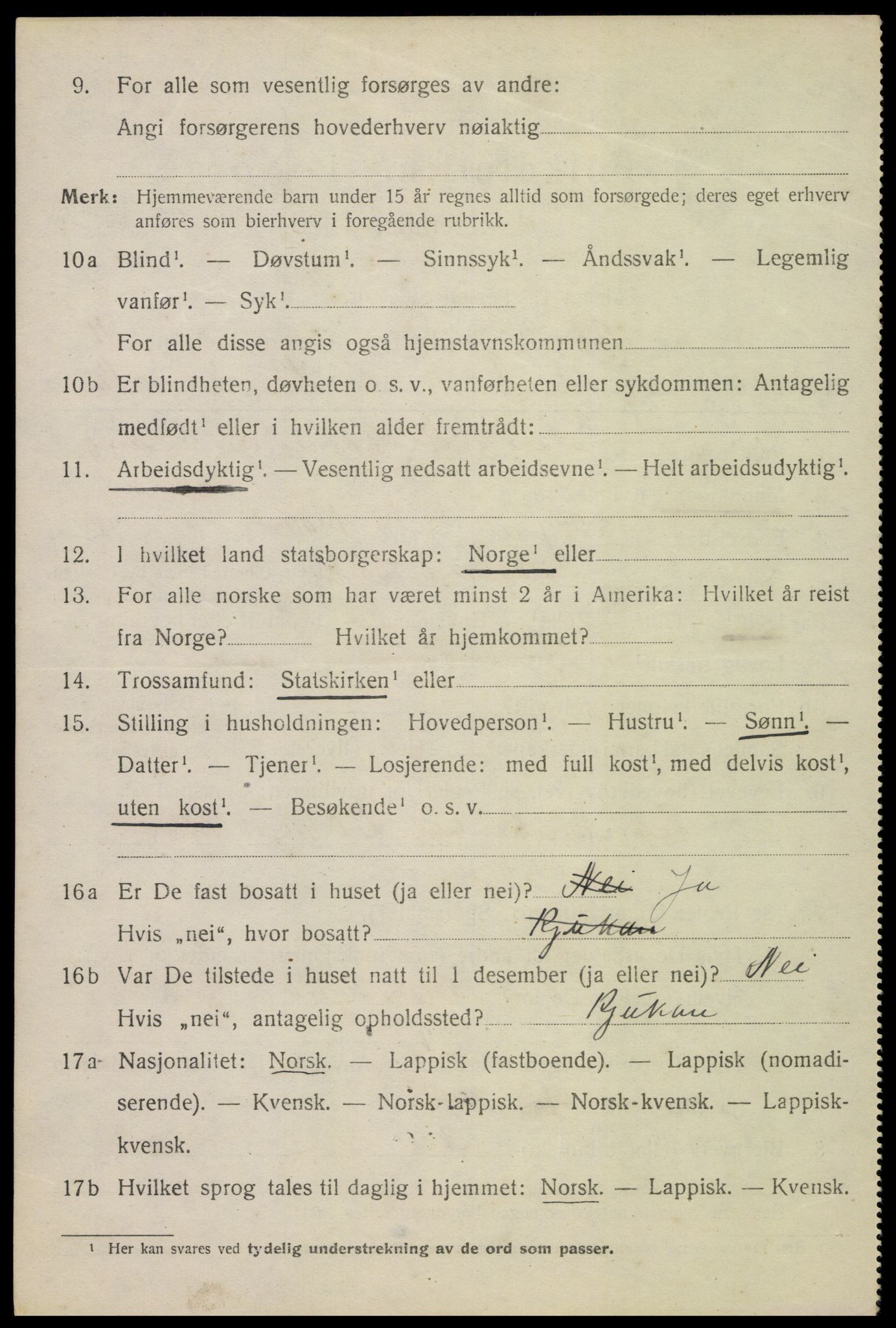 SAT, 1920 census for Bø, 1920, p. 9989