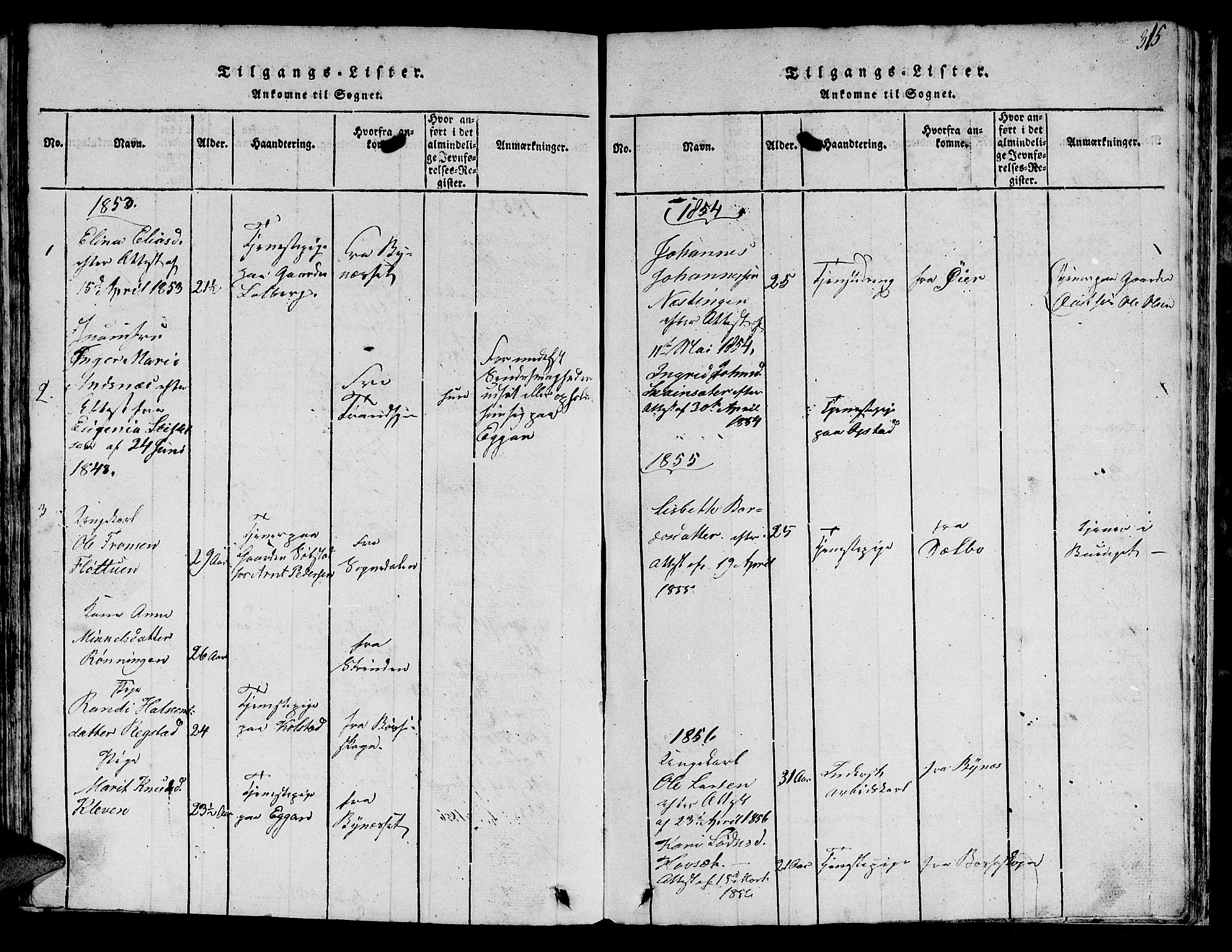 Ministerialprotokoller, klokkerbøker og fødselsregistre - Sør-Trøndelag, SAT/A-1456/613/L0393: Parish register (copy) no. 613C01, 1816-1886, p. 315