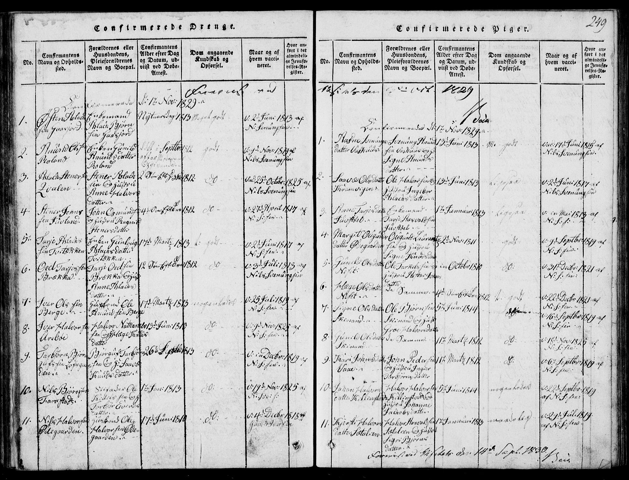 Rauland kirkebøker, SAKO/A-292/G/Ga/L0001: Parish register (copy) no. I 1, 1814-1843, p. 249