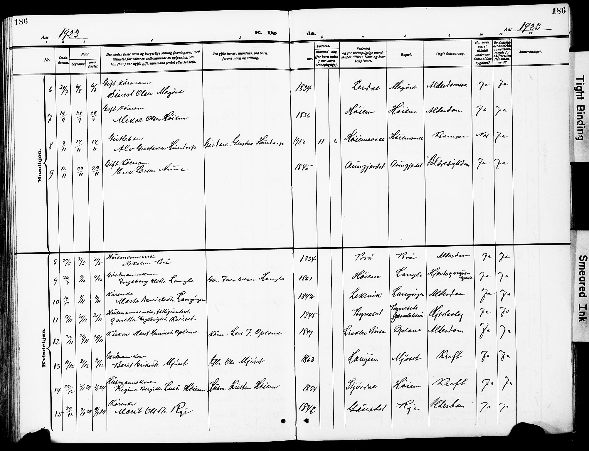 Ministerialprotokoller, klokkerbøker og fødselsregistre - Sør-Trøndelag, AV/SAT-A-1456/612/L0388: Parish register (copy) no. 612C04, 1909-1929, p. 186