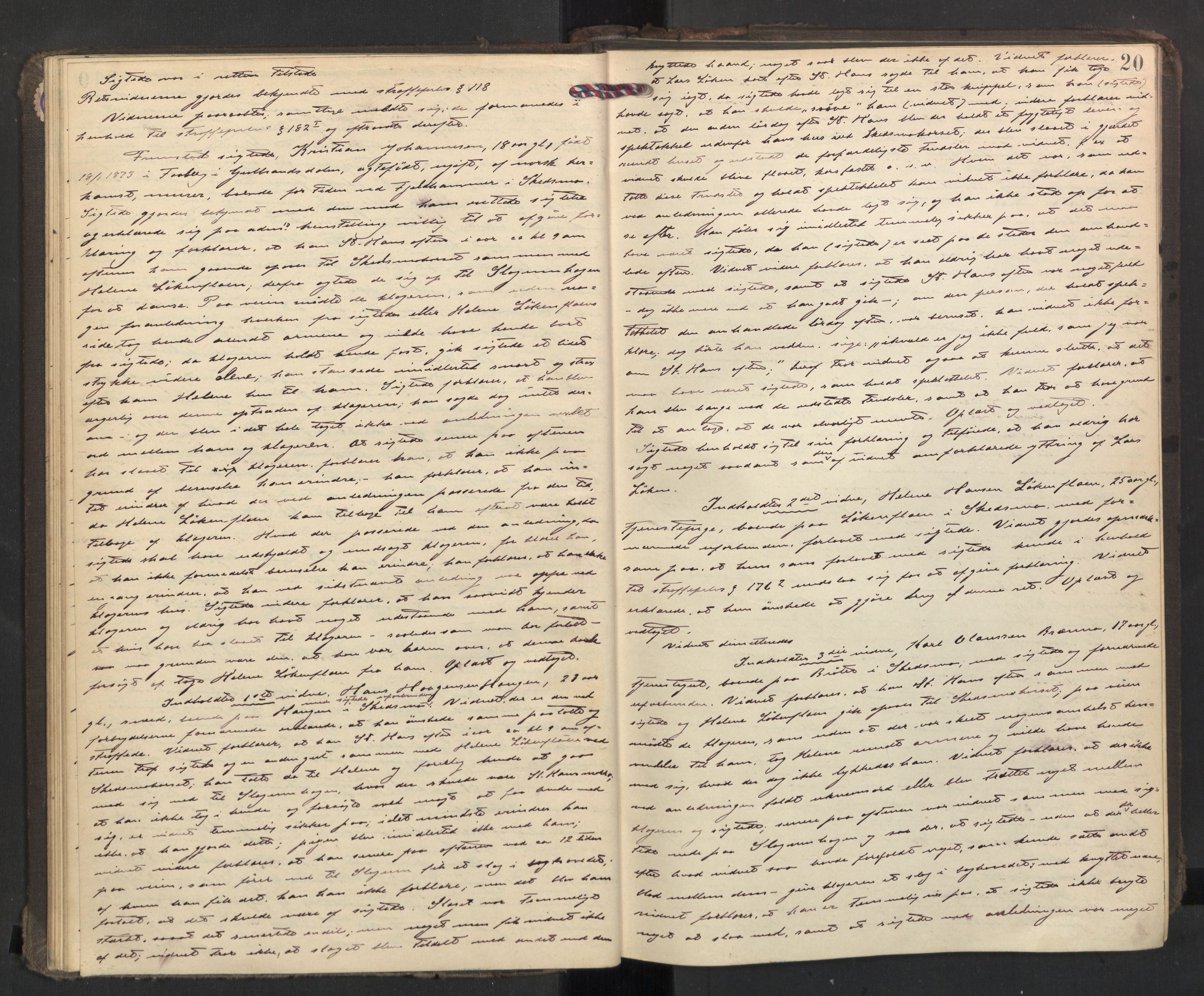 Nedre Romerike sorenskriveri, AV/SAO-A-10469/F/Fc/L0038: Ekstrarettsprotokoll, 1892-1896, p. 19b-20a