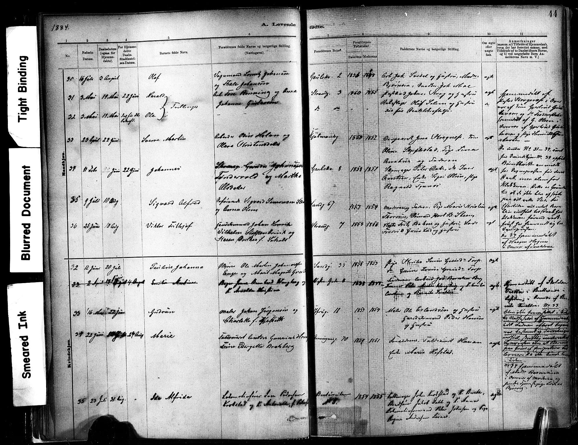 Ministerialprotokoller, klokkerbøker og fødselsregistre - Sør-Trøndelag, AV/SAT-A-1456/602/L0119: Parish register (official) no. 602A17, 1880-1901, p. 44