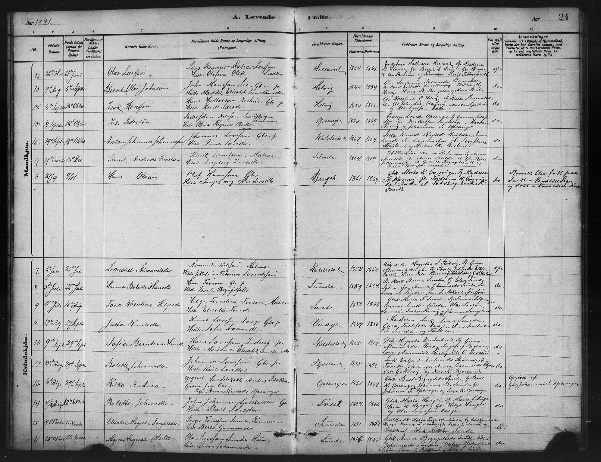 Husnes Sokneprestembete, SAB/A-75901/H/Hab: Parish register (copy) no. A 2, 1881-1917, p. 24