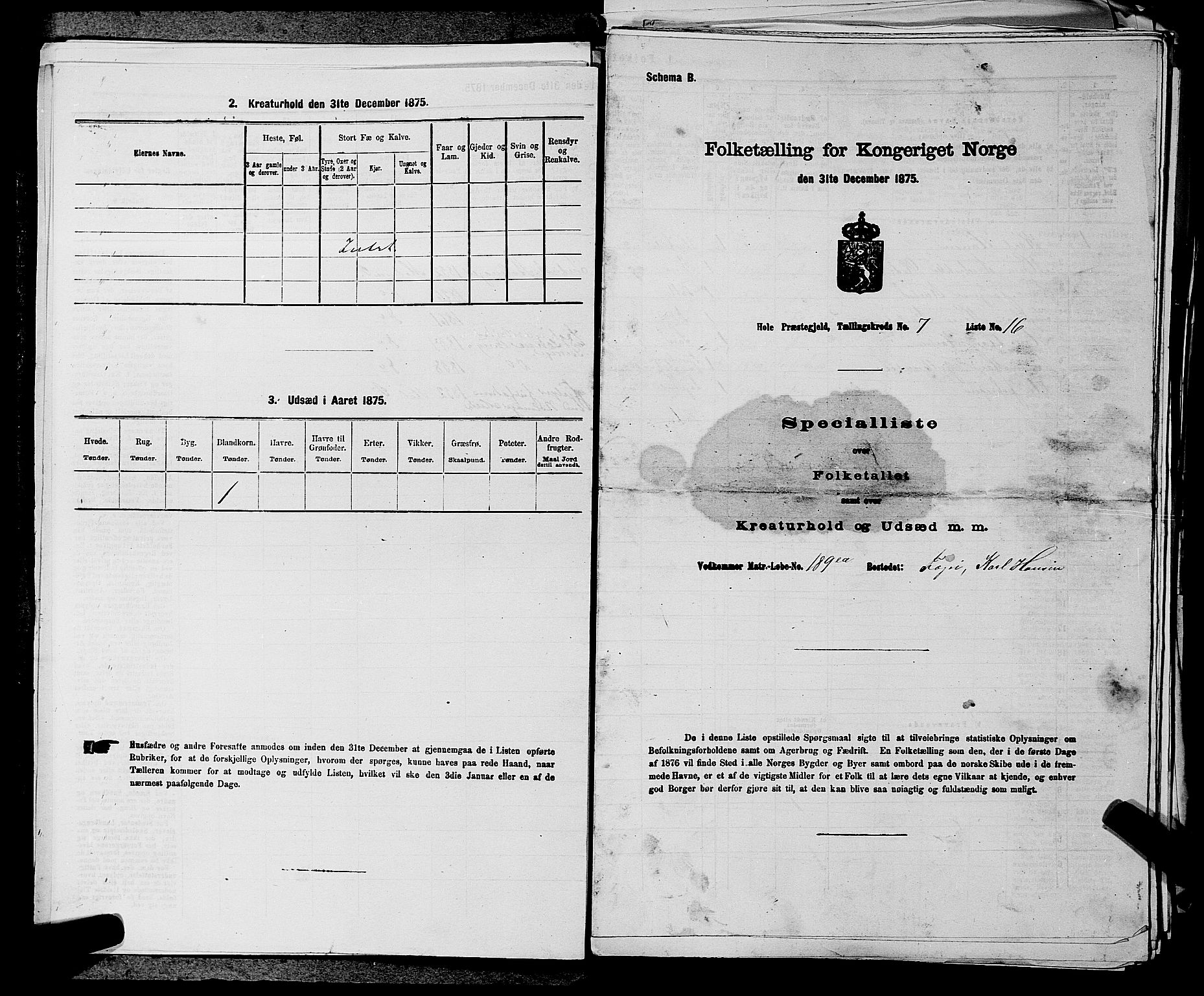 SAKO, 1875 census for 0612P Hole, 1875, p. 1172