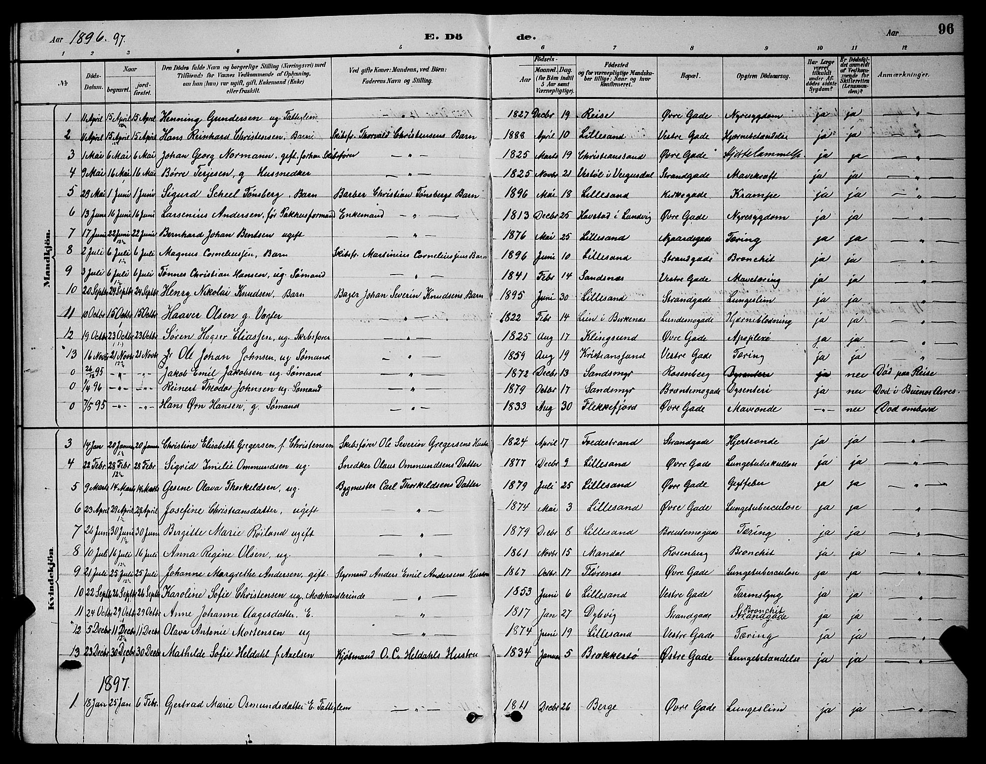 Vestre Moland sokneprestkontor, SAK/1111-0046/F/Fb/Fba/L0001: Parish register (copy) no. B 1, 1884-1903, p. 96