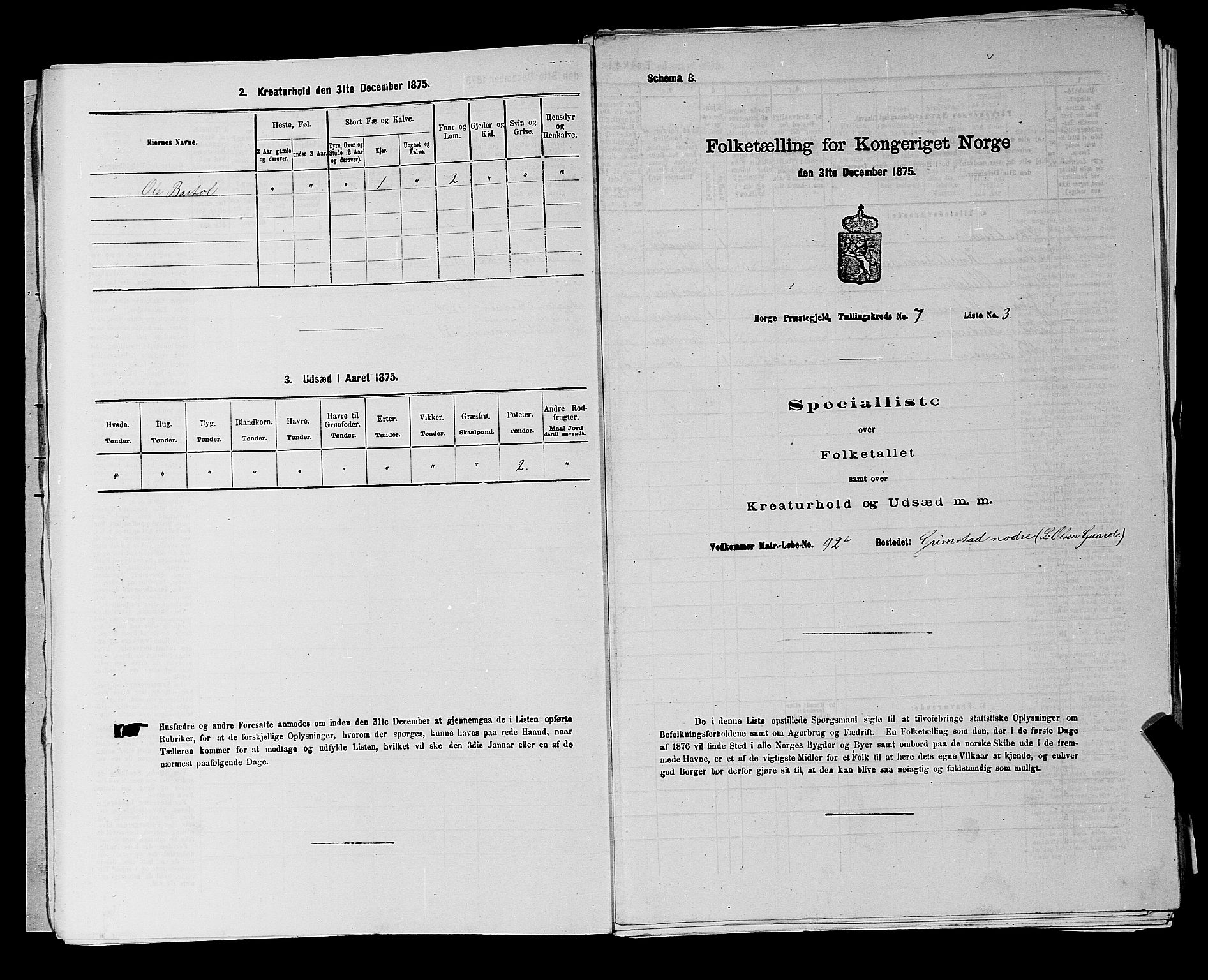 RA, 1875 census for 0113P Borge, 1875, p. 967