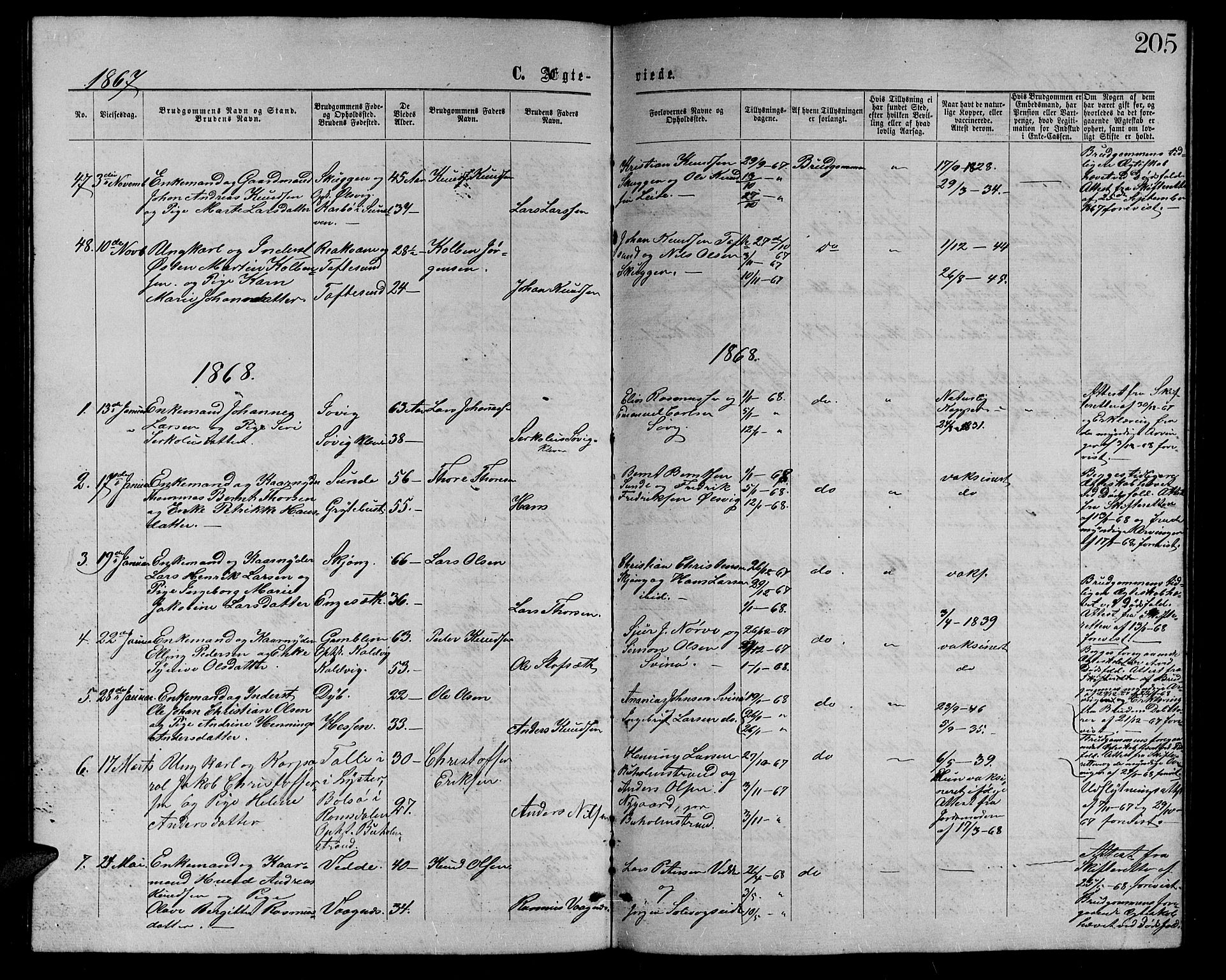 Ministerialprotokoller, klokkerbøker og fødselsregistre - Møre og Romsdal, AV/SAT-A-1454/528/L0428: Parish register (copy) no. 528C09, 1864-1880, p. 205