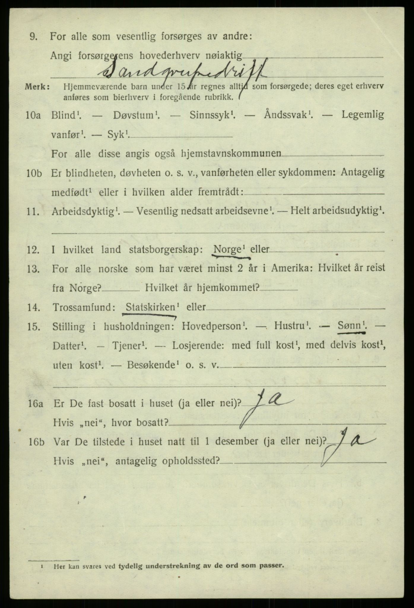 SAB, 1920 census for Bruvik, 1920, p. 9521