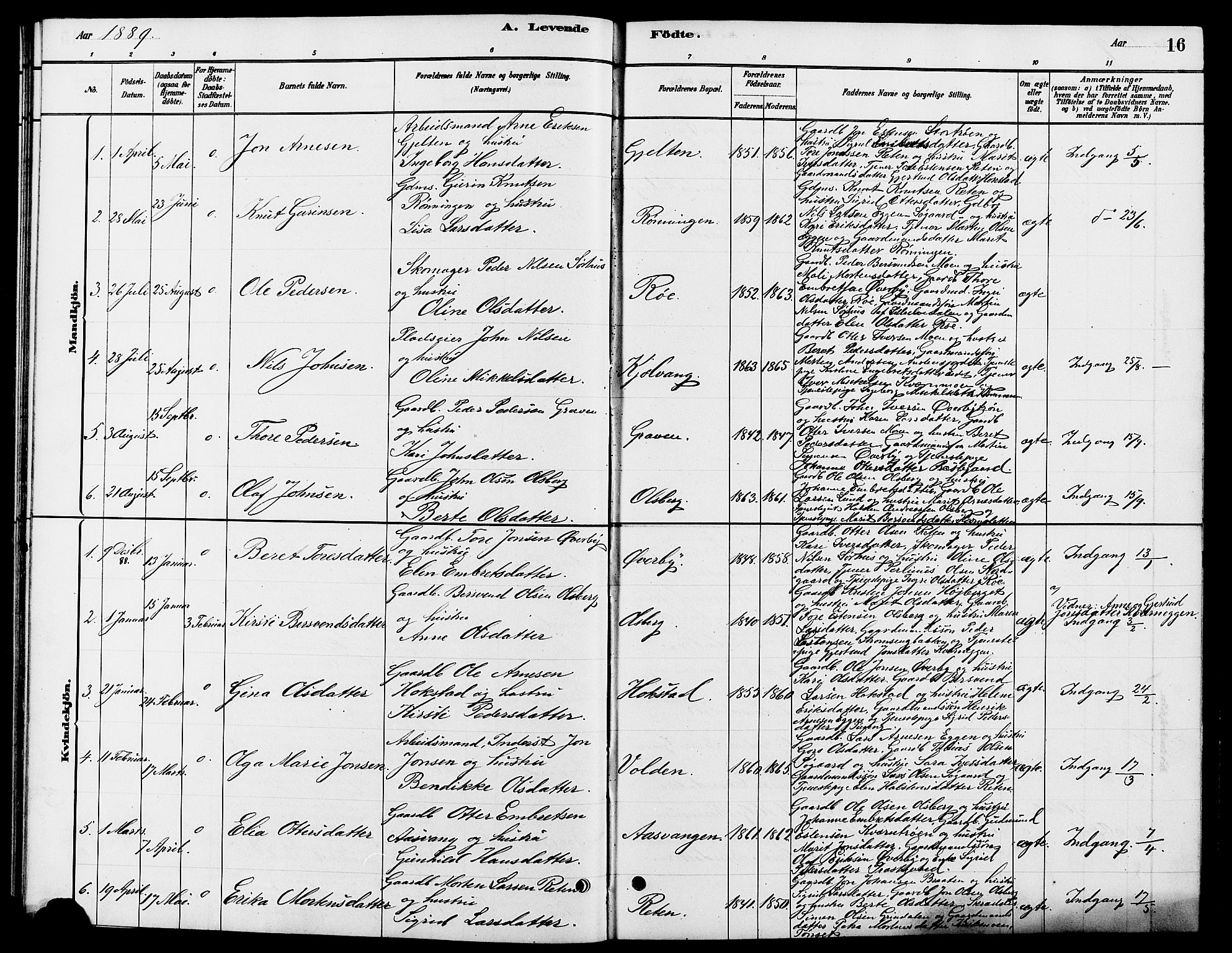 Tynset prestekontor, SAH/PREST-058/H/Ha/Hab/L0007: Parish register (copy) no. 7, 1880-1901, p. 16